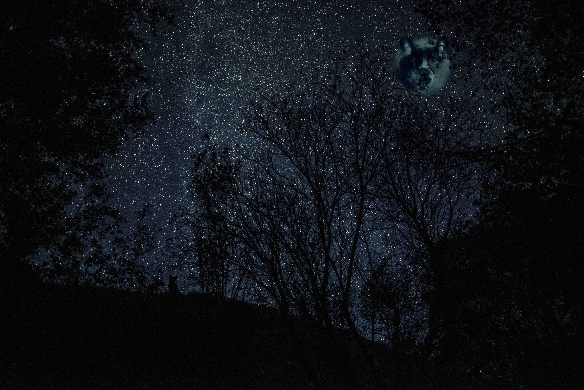 Nikon D810 + Nikon AF Nikkor 24mm F2.8D sample photo. Trip to the moon homage photography