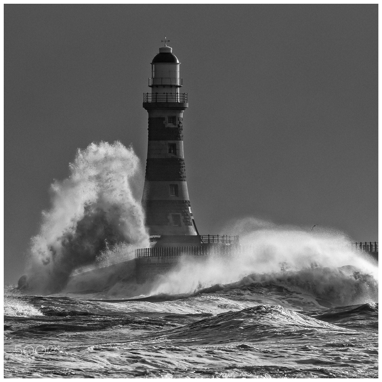 Canon EF 70-300mm F4-5.6L IS USM sample photo. White horses bw photography