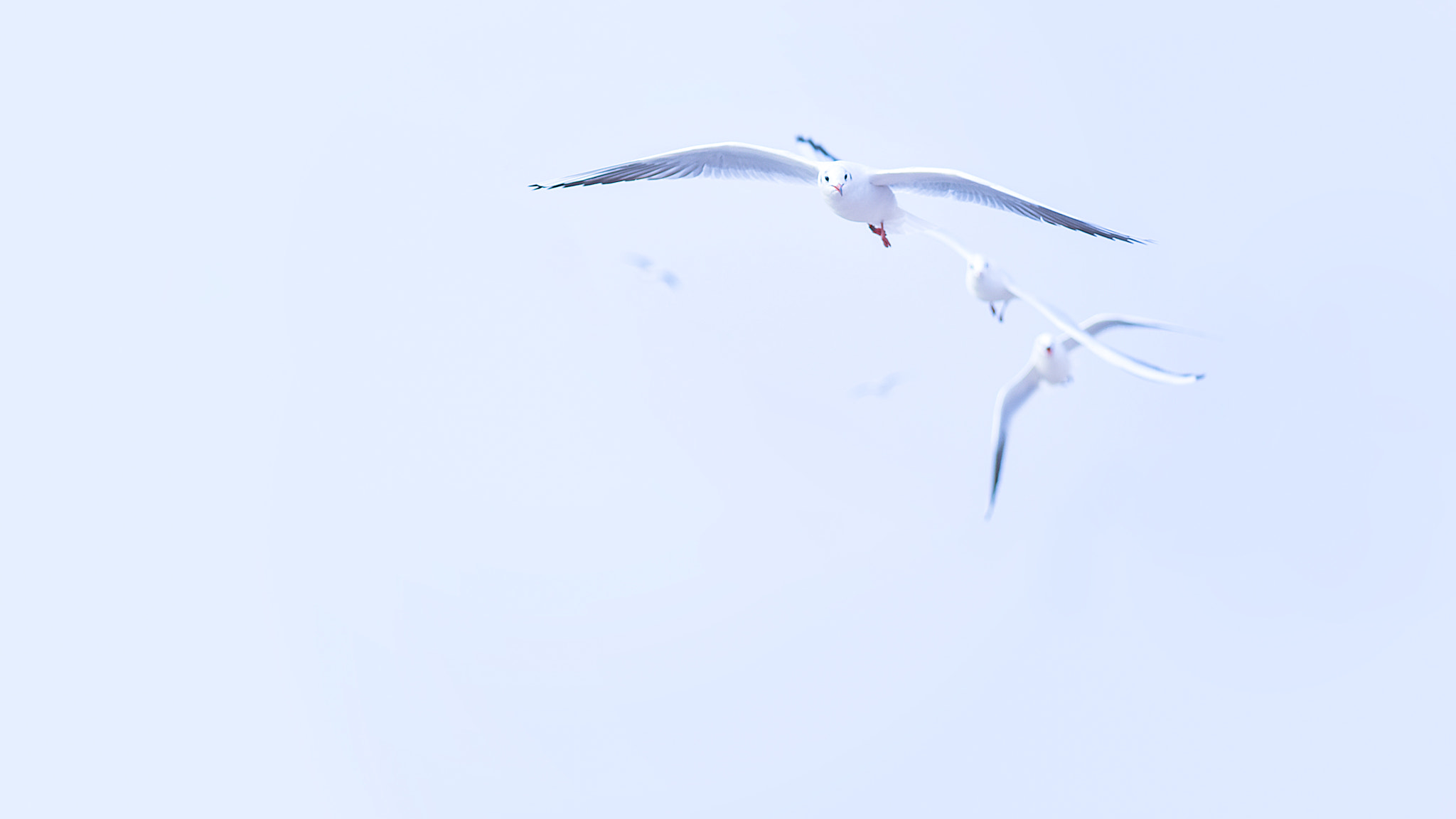 Nikon D810 + AF Nikkor 70-210mm f/4-5.6 sample photo. Dsc photography
