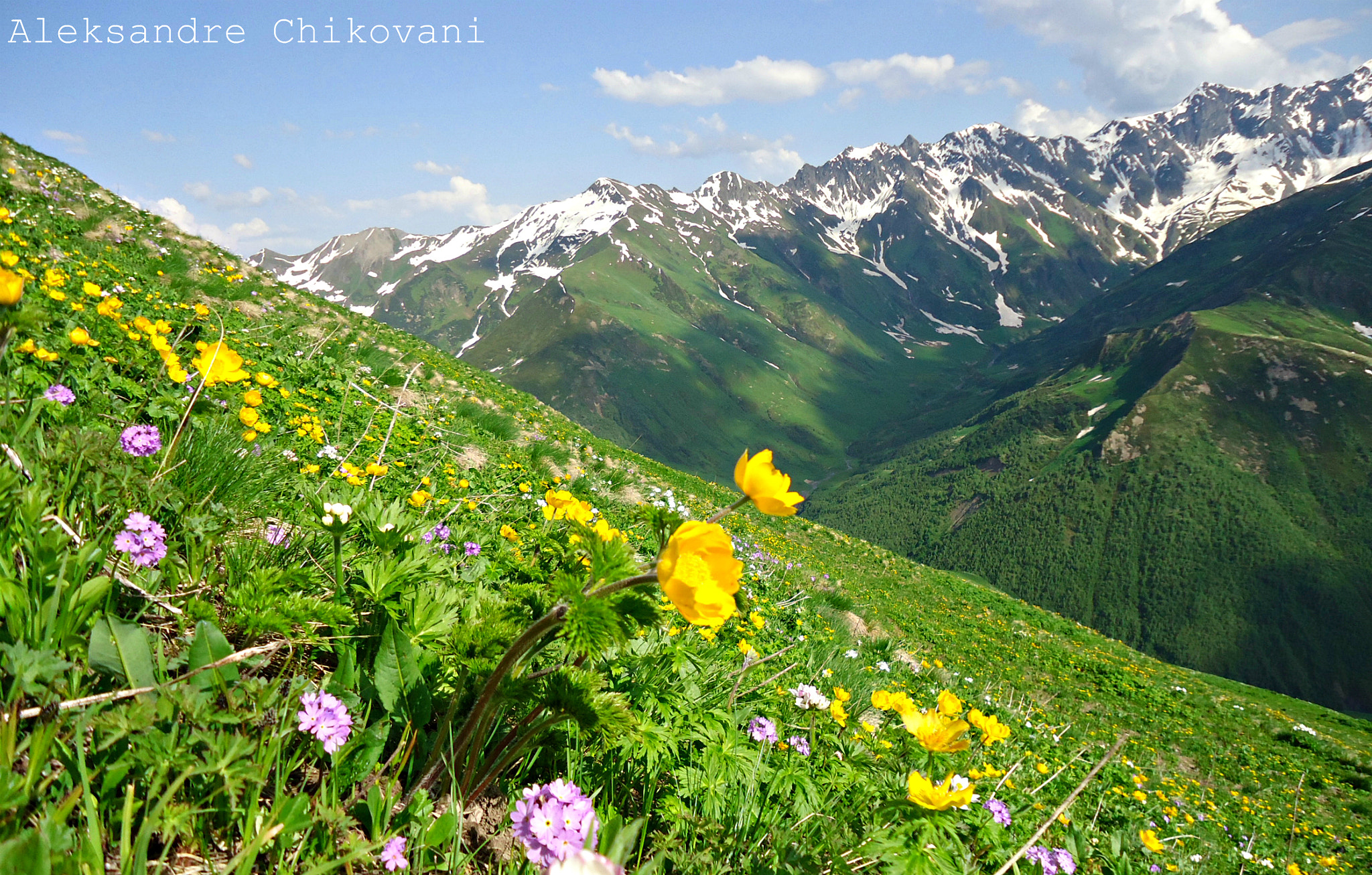 Sony Cyber-shot DSC-W530 sample photo. Summer in svaneti photography