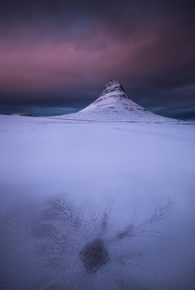 Nikon AF-S Nikkor 14-24mm F2.8G ED sample photo. Kirkjufell photography