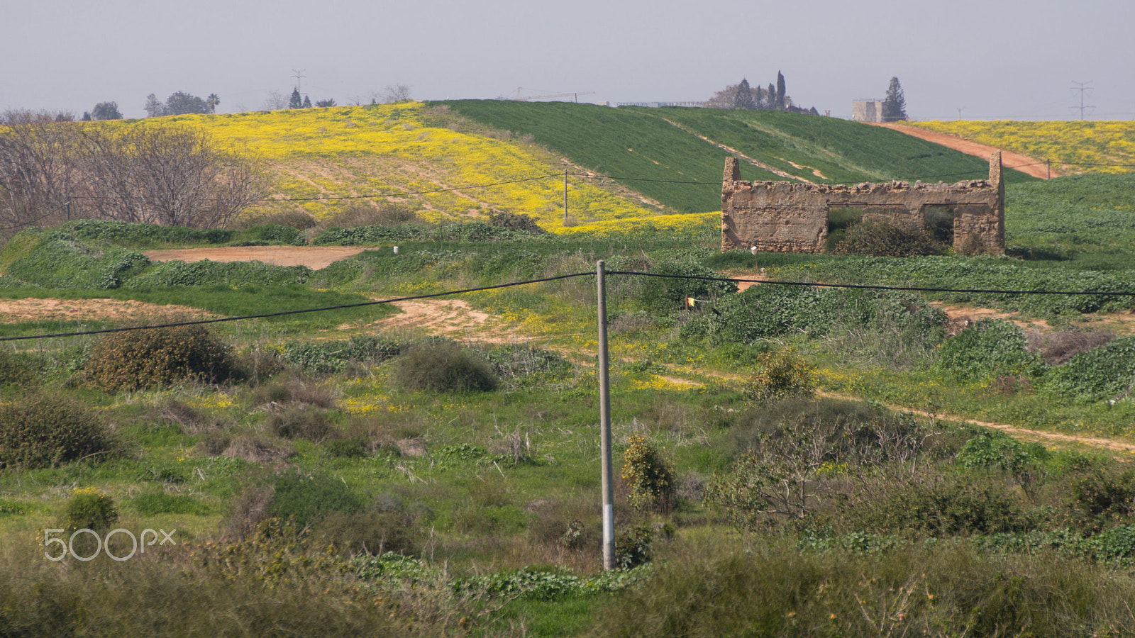 Sony SLT-A65 (SLT-A65V) sample photo. The ruin photography