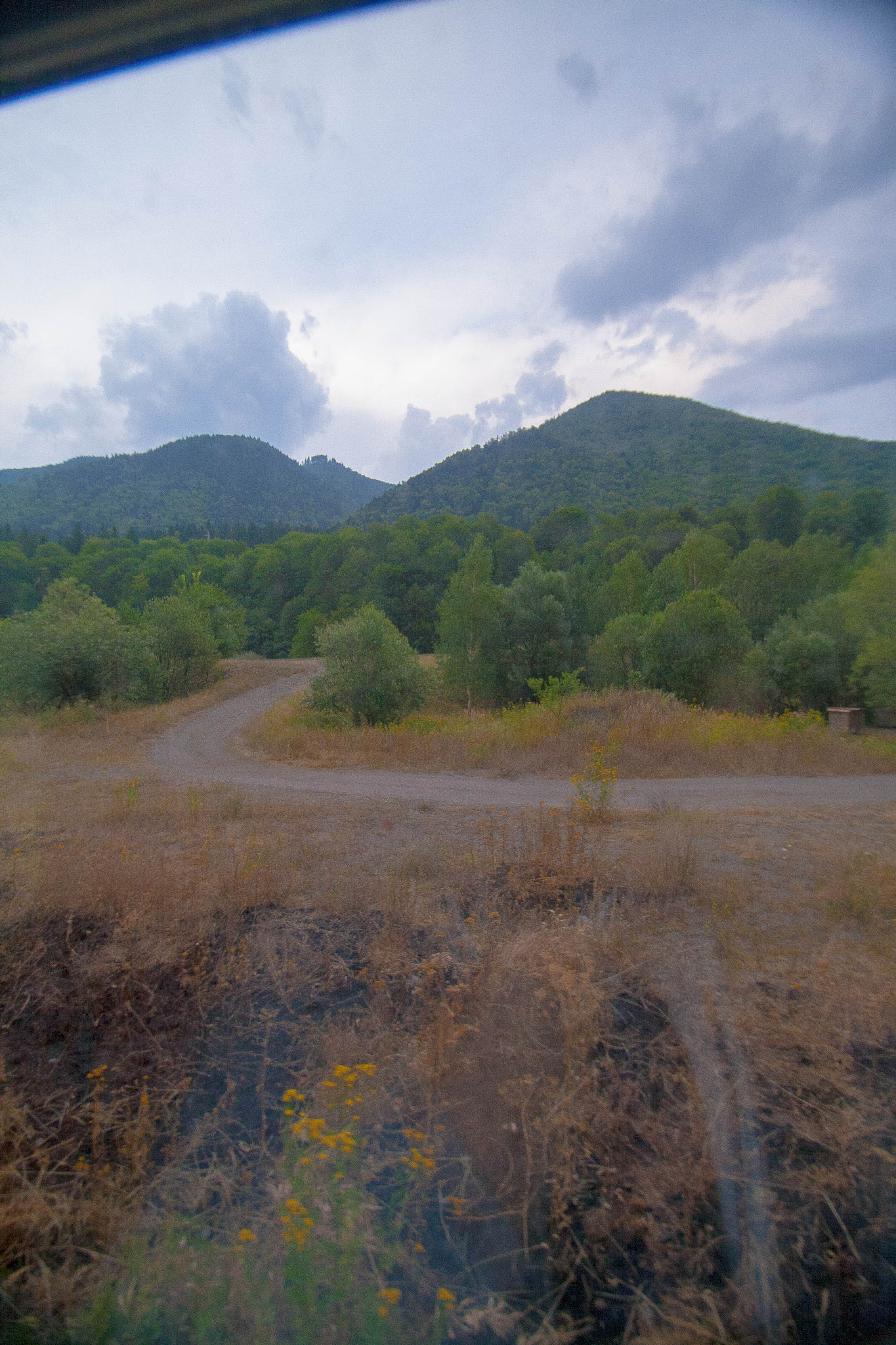 Sigma 10-20mm F3.5 EX DC HSM sample photo. Into the woods photography