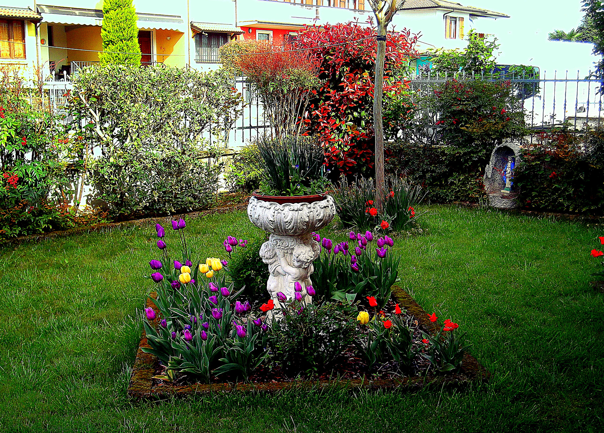 Fujifilm FinePix JX250 sample photo. Fiori di primavera in giardino. photography