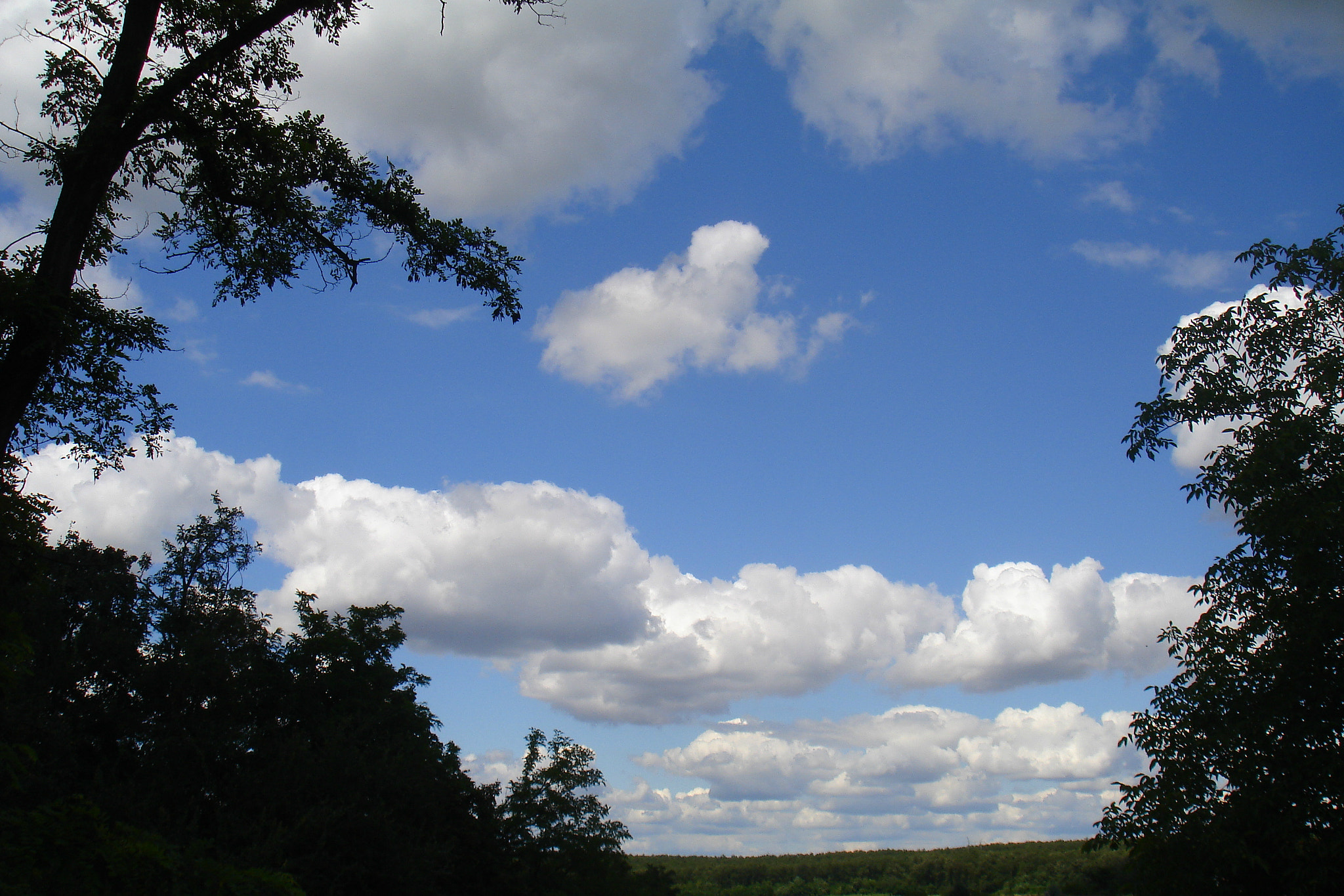 Sony DSC-W17 sample photo. Sky photography