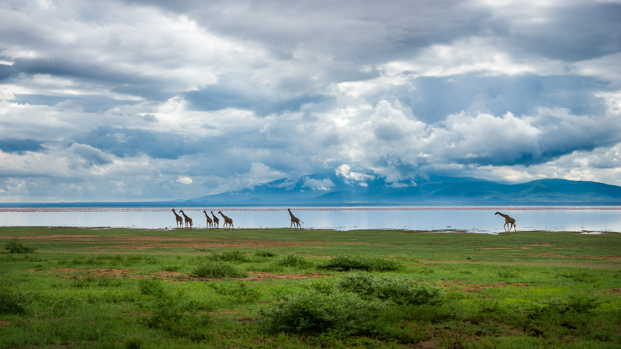 Sony SLT-A99V sample photo. Lake manyara photography