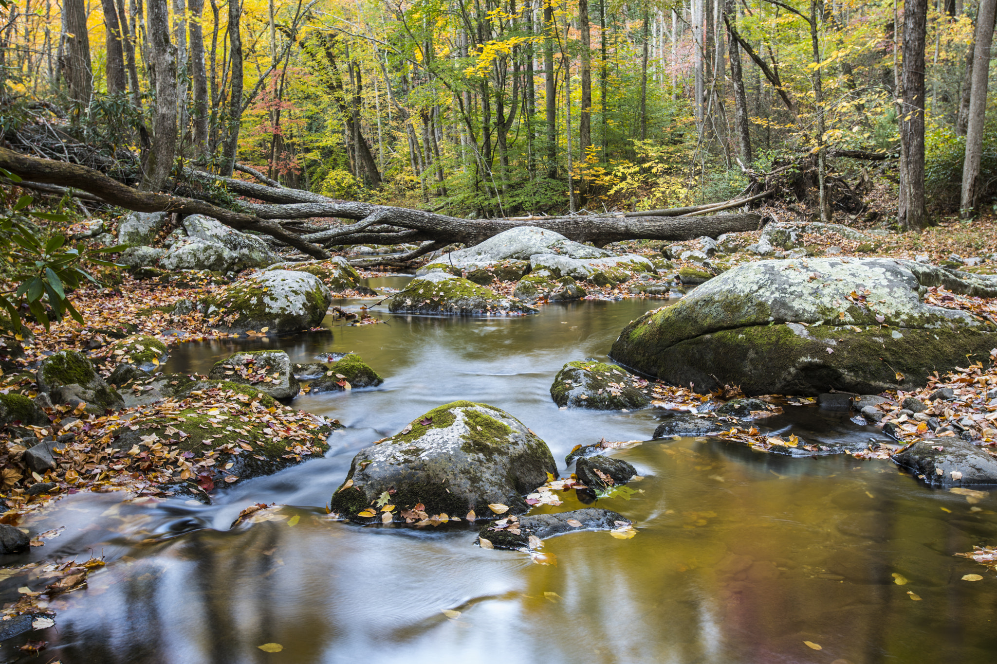 Nikon D810 + Nikon AF-S Nikkor 17-35mm F2.8D ED-IF sample photo. Frozen stream photography