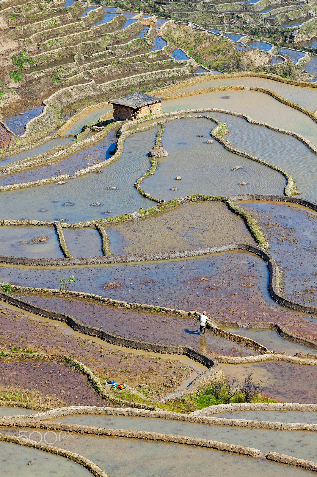 Canon EF 100-400mm F4.5-5.6L IS USM sample photo. 红河宝华乡梯田 photography