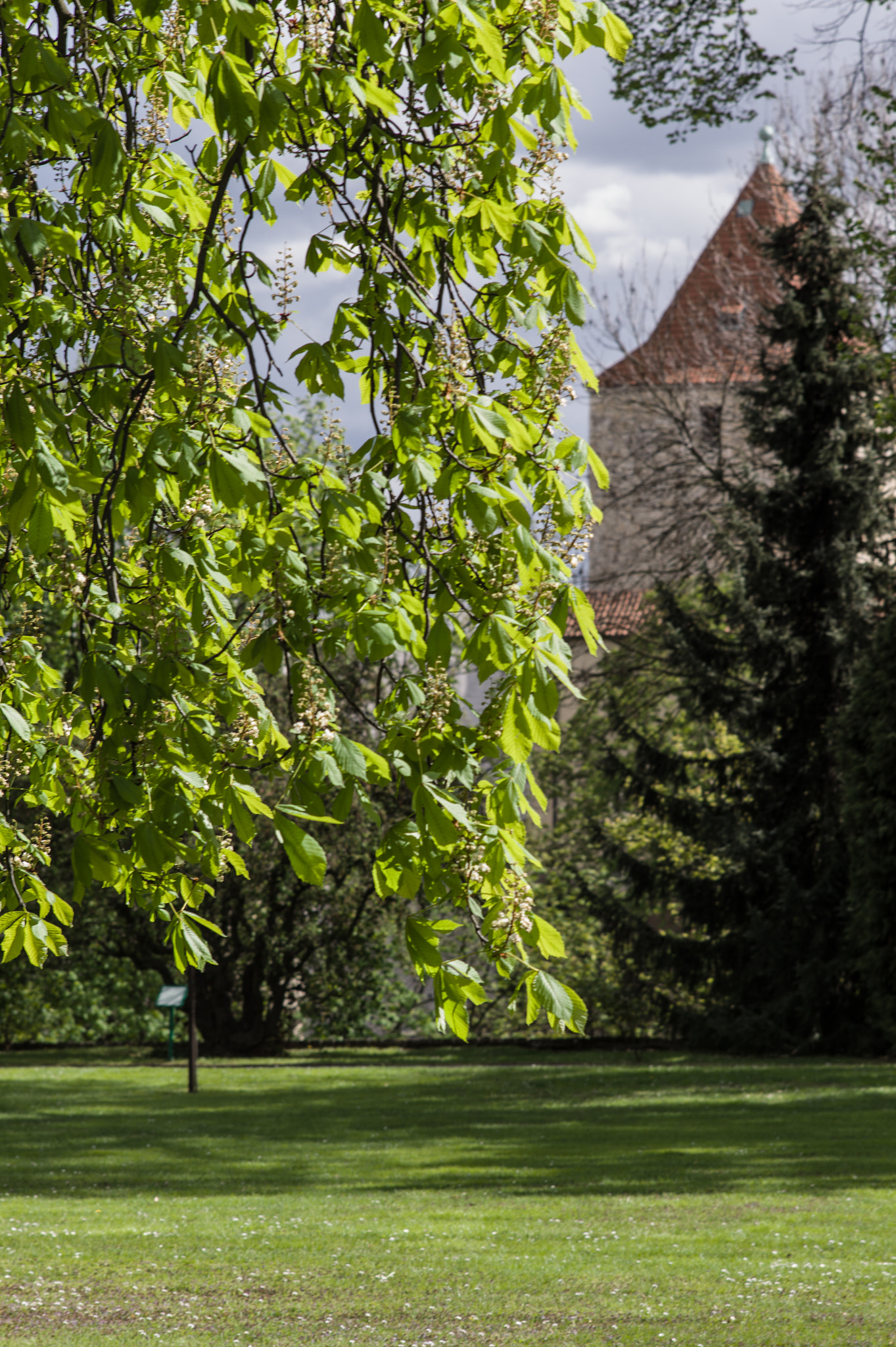 Leica M9 + Elmarit-M 135mm f/2.8 (I/II) sample photo. Garden by castle photography