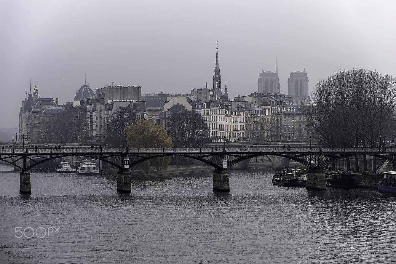 Nikon D5 sample photo. December in paris photography
