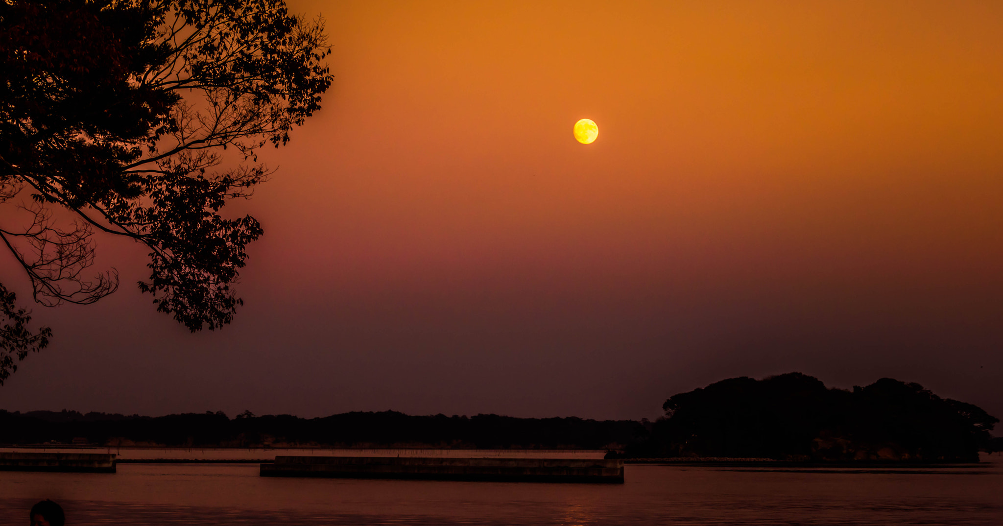 Nikon D5500 + Nikon AF-S DX Nikkor 55-200mm F4-5.6G VR sample photo. This photo i clicked at matsushima, amazingly beautiful place. it was the night of supermoon! photography