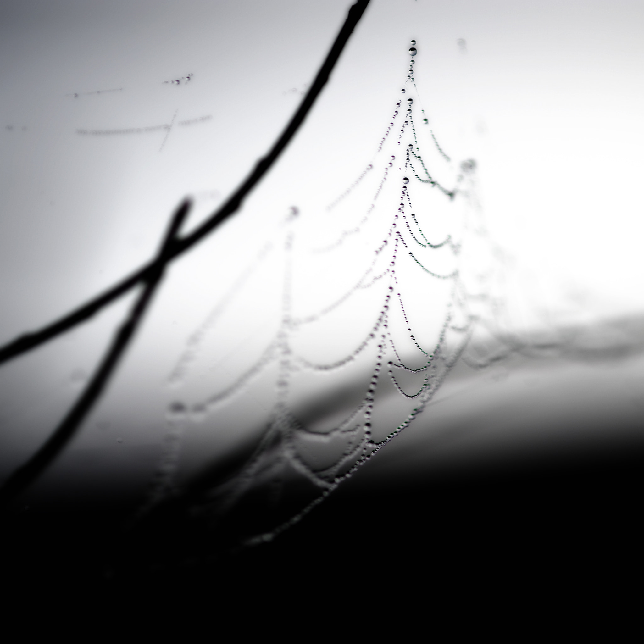 Nikon D3 sample photo. Drop photography
