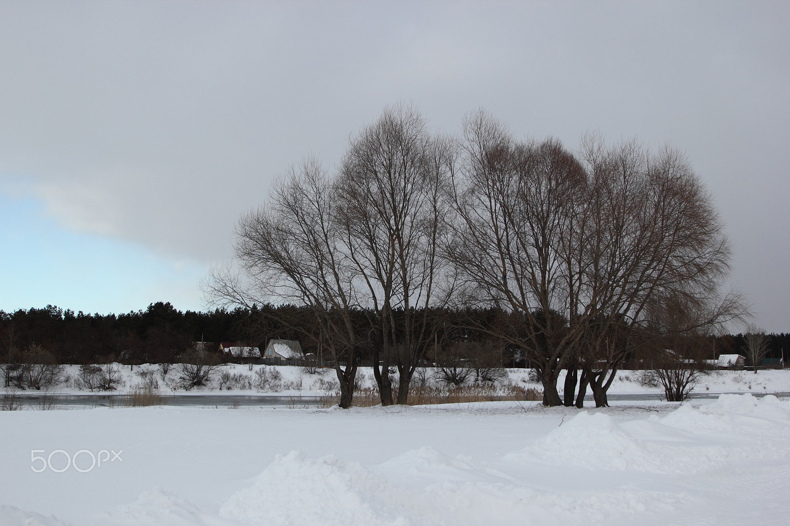 Canon EOS 550D (EOS Rebel T2i / EOS Kiss X4) + Canon EF 24-105mm F4L IS USM sample photo. Russian winter photography