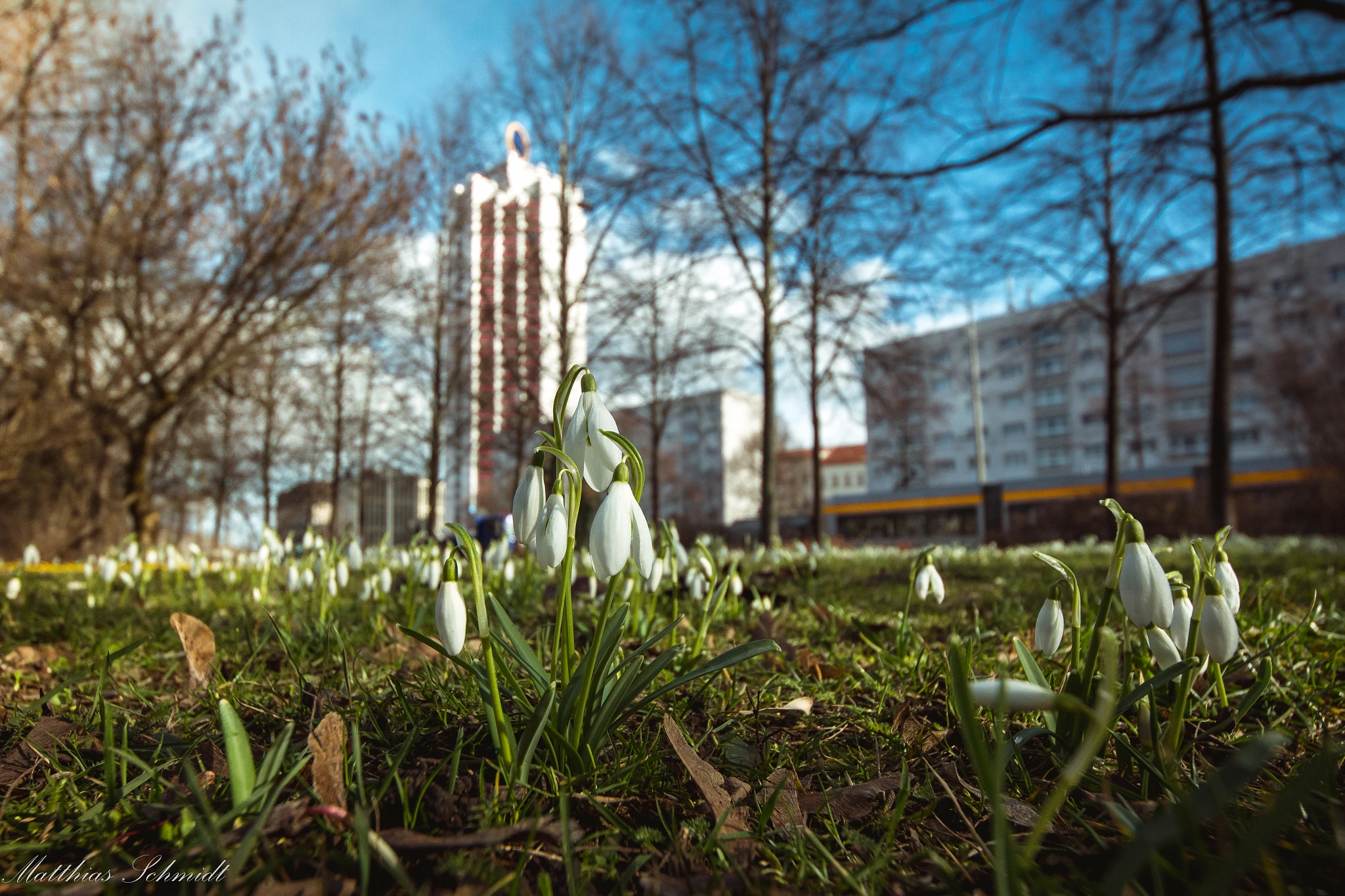 Sigma 8-16mm F4.5-5.6 DC HSM sample photo. Spring photography