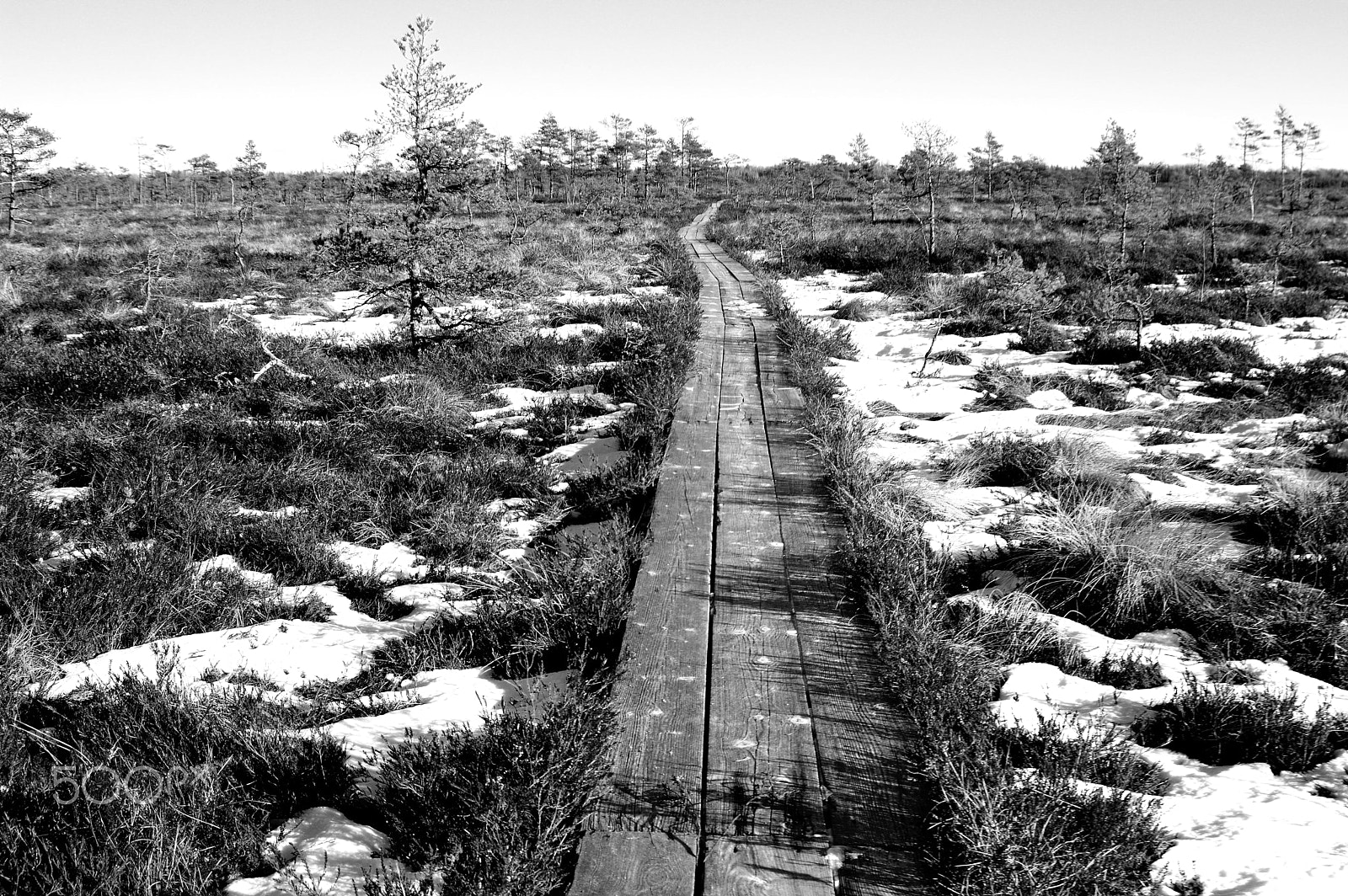 Sigma 17-35mm F2.8-4 EX DG sample photo. Pathway photography