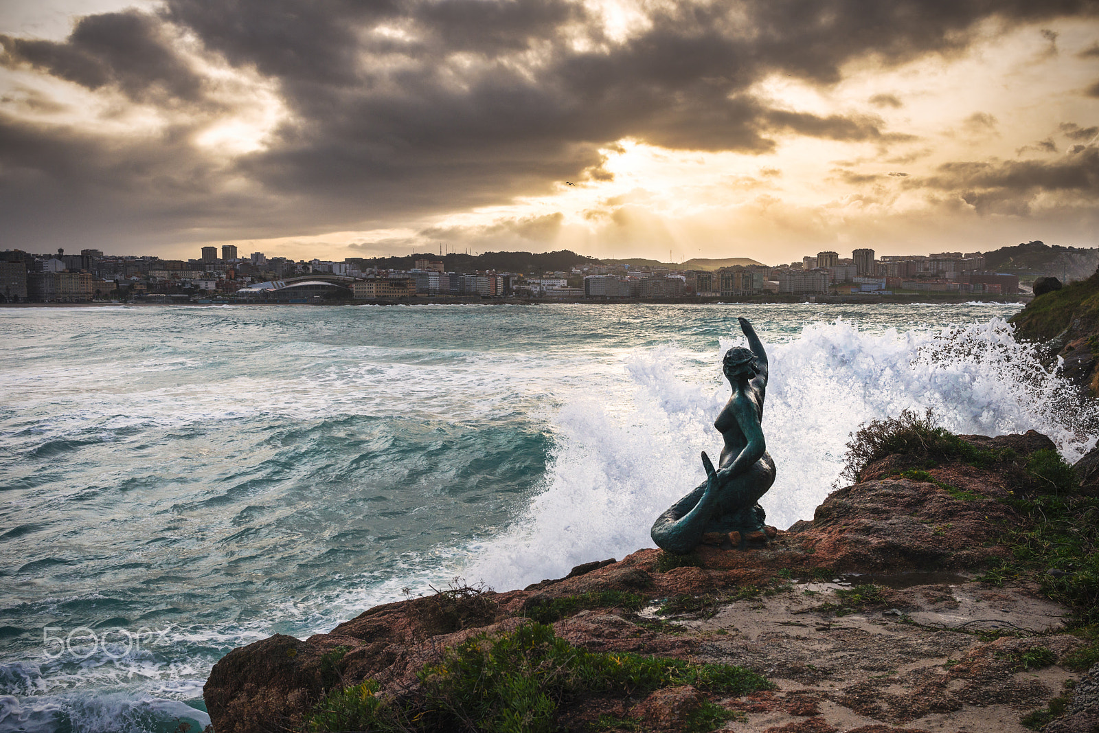 Nikon D800 + Nikon AF-S Nikkor 28mm F1.8G sample photo. The little mermaid photography