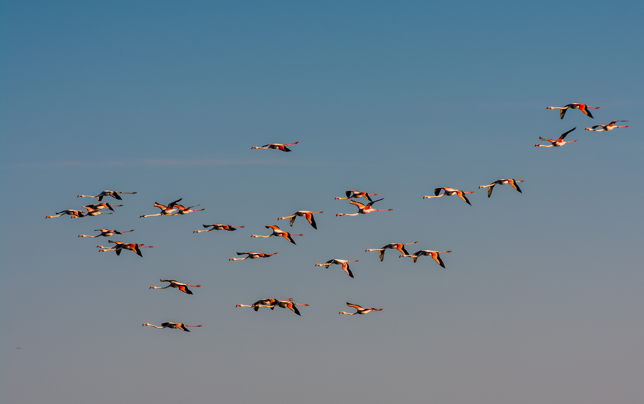 AF Zoom-Nikkor 80-200mm f/2.8 ED sample photo