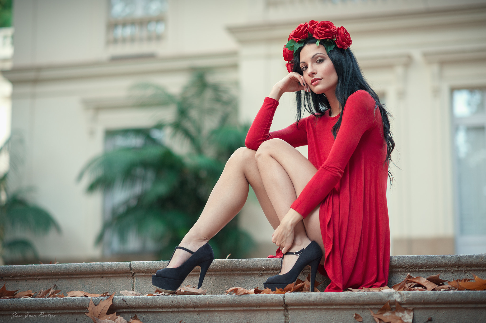 Nikon D700 + Nikon AF-S Nikkor 85mm F1.8G sample photo. Red roses photography