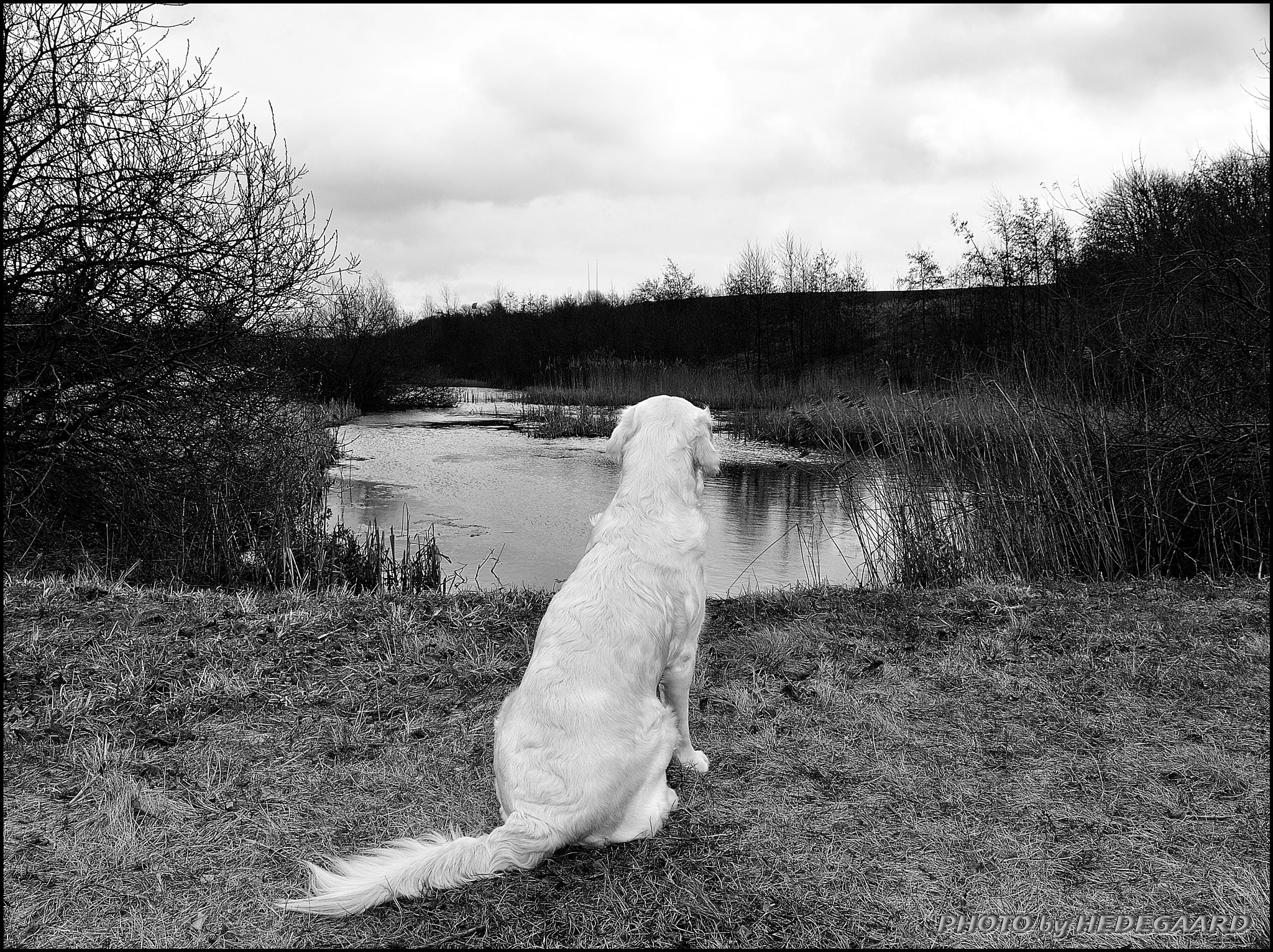 Nikon D5000 sample photo. On lookout photography