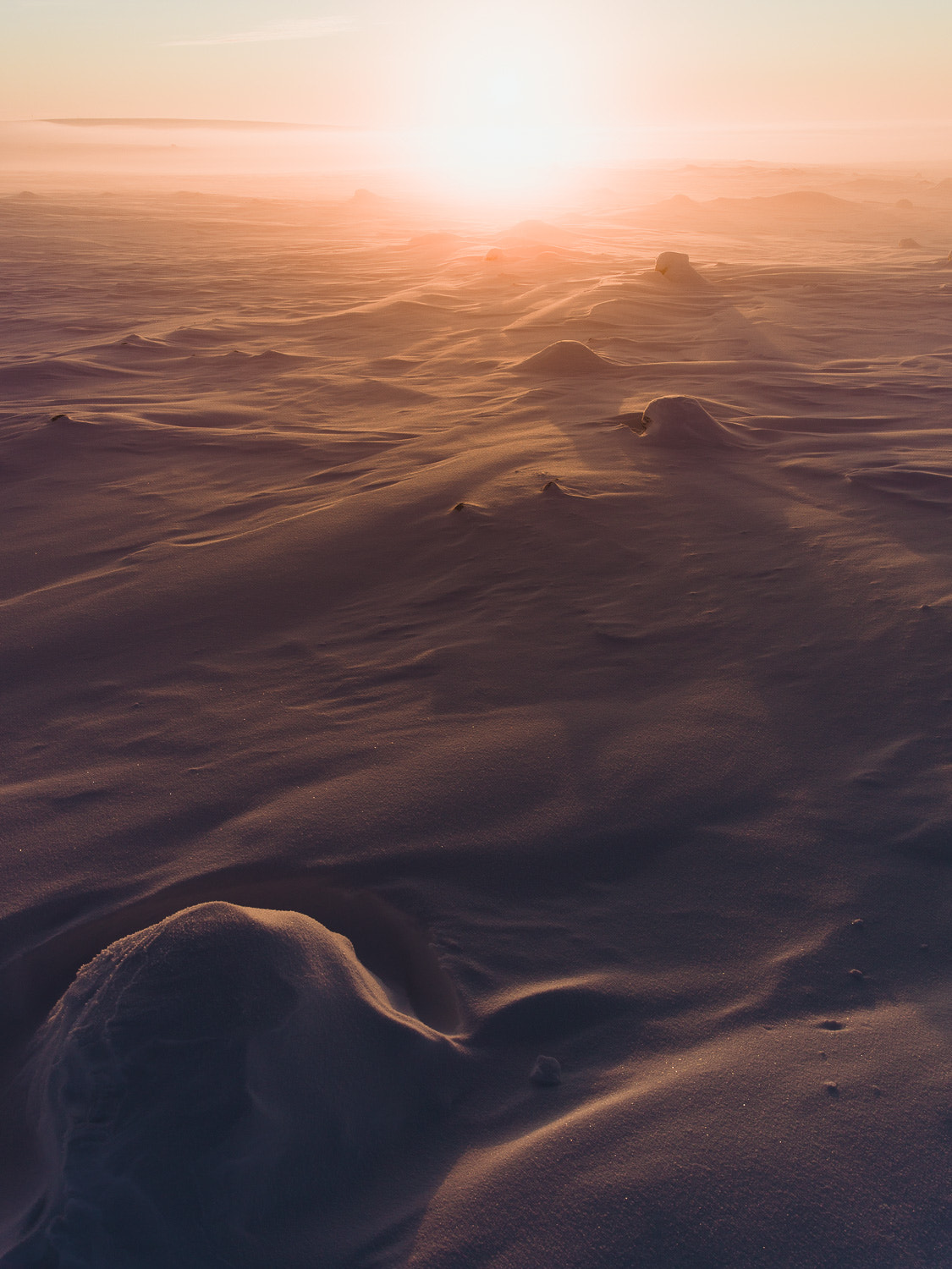 Hasselblad H4D-31 sample photo. Sunset in tundra photography