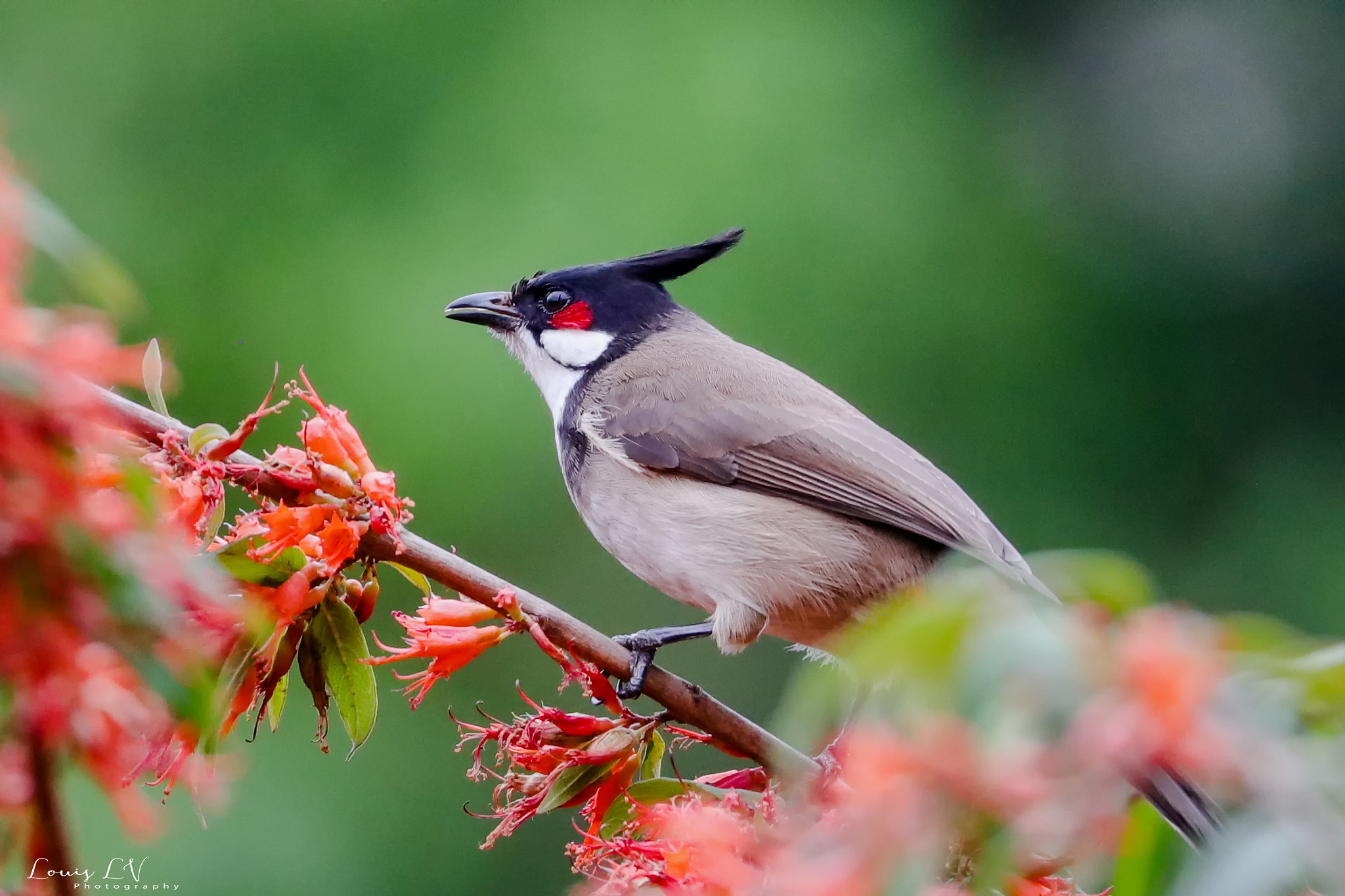 Canon EOS 5DS R sample photo