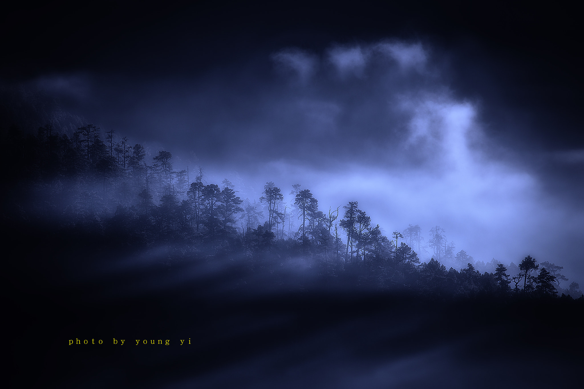 Canon EF 70-300mm F4-5.6L IS USM sample photo. 金龍山 photography