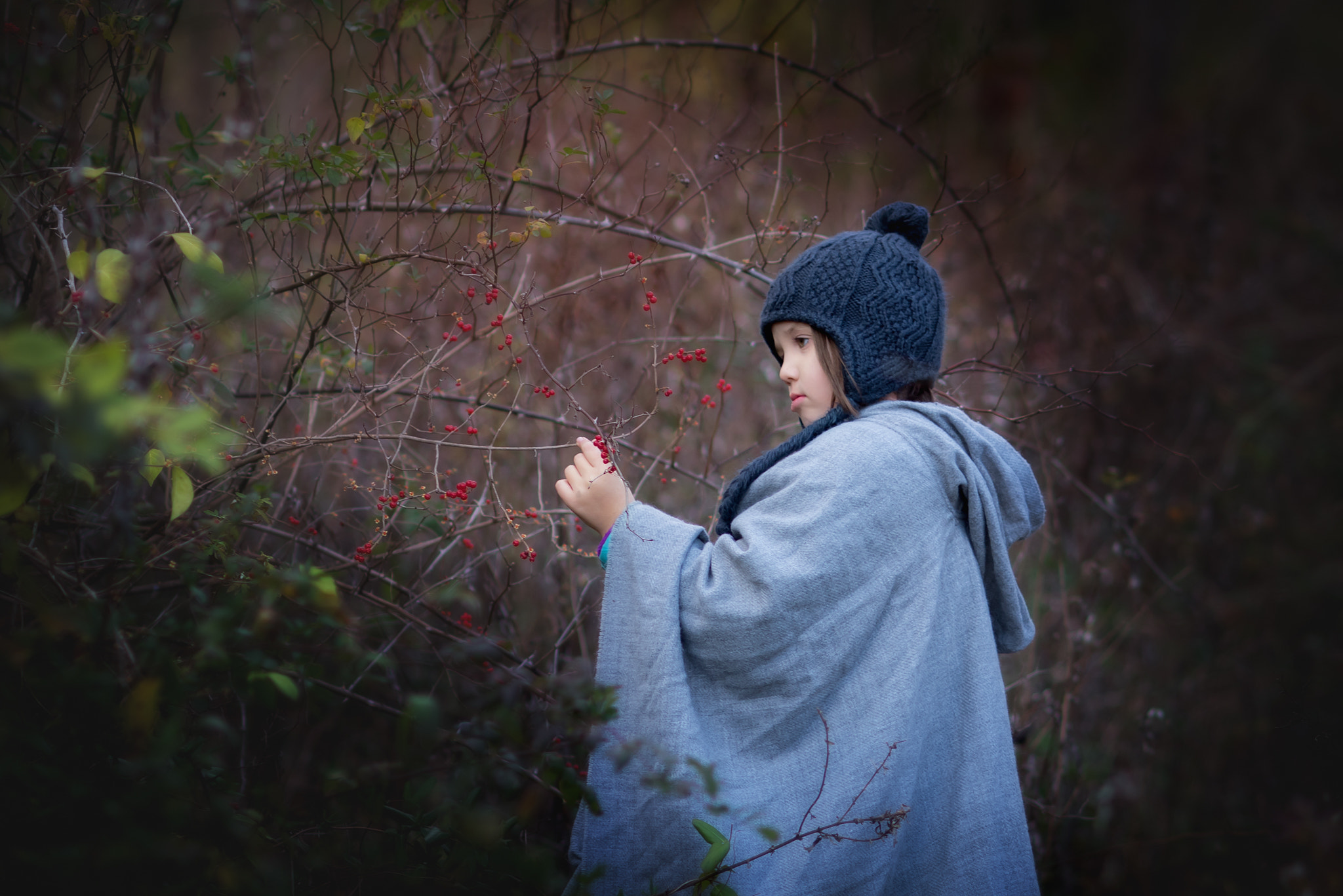 AF DC-Nikkor 135mm f/2D sample photo. Winter berries photography