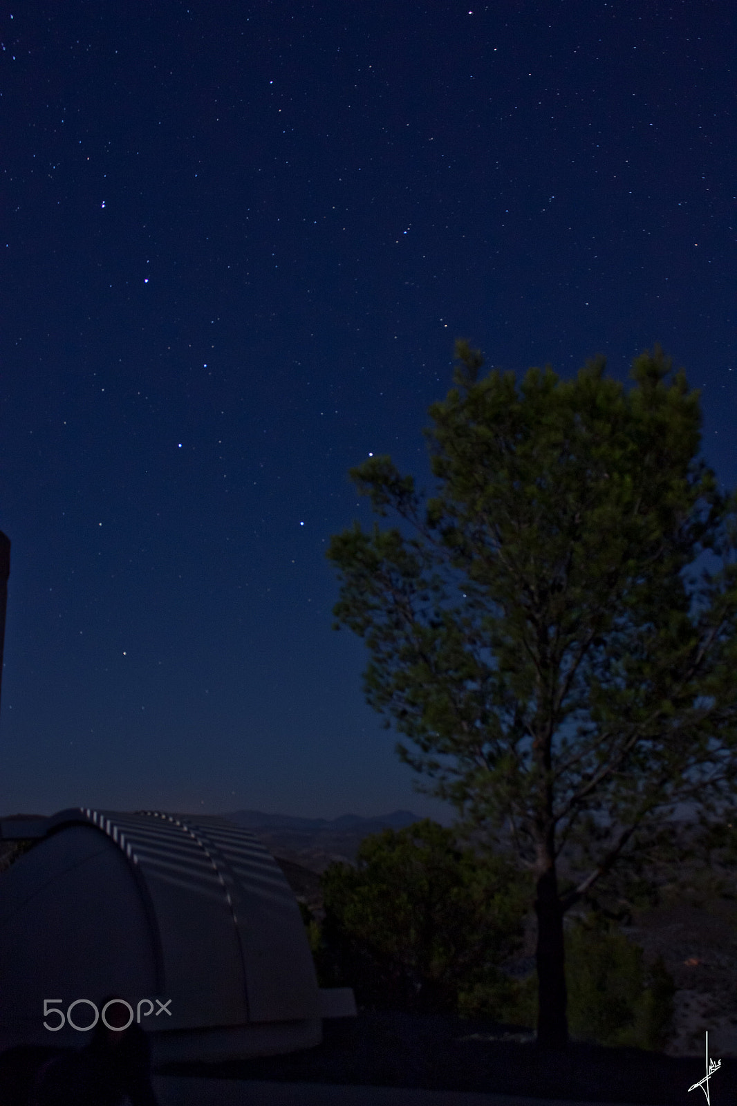 Canon EOS 450D (EOS Rebel XSi / EOS Kiss X2) sample photo. Love nights. photography