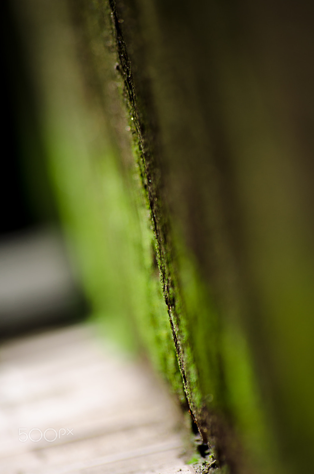 Sigma 70-300mm F4-5.6 APO DG Macro sample photo. 28779508554.jpg photography