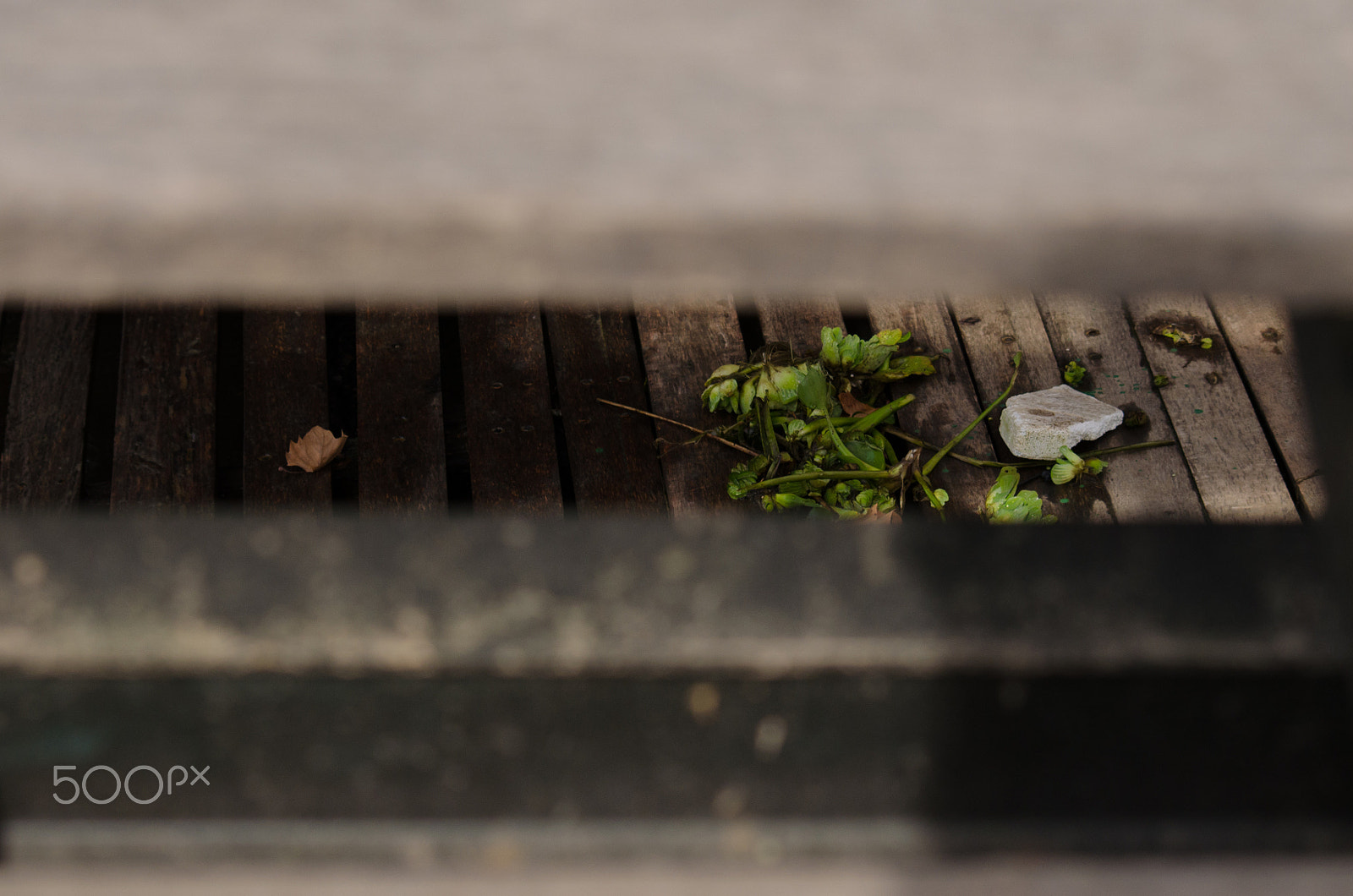 Sigma 70-300mm F4-5.6 APO DG Macro sample photo. 27503615655.jpg photography
