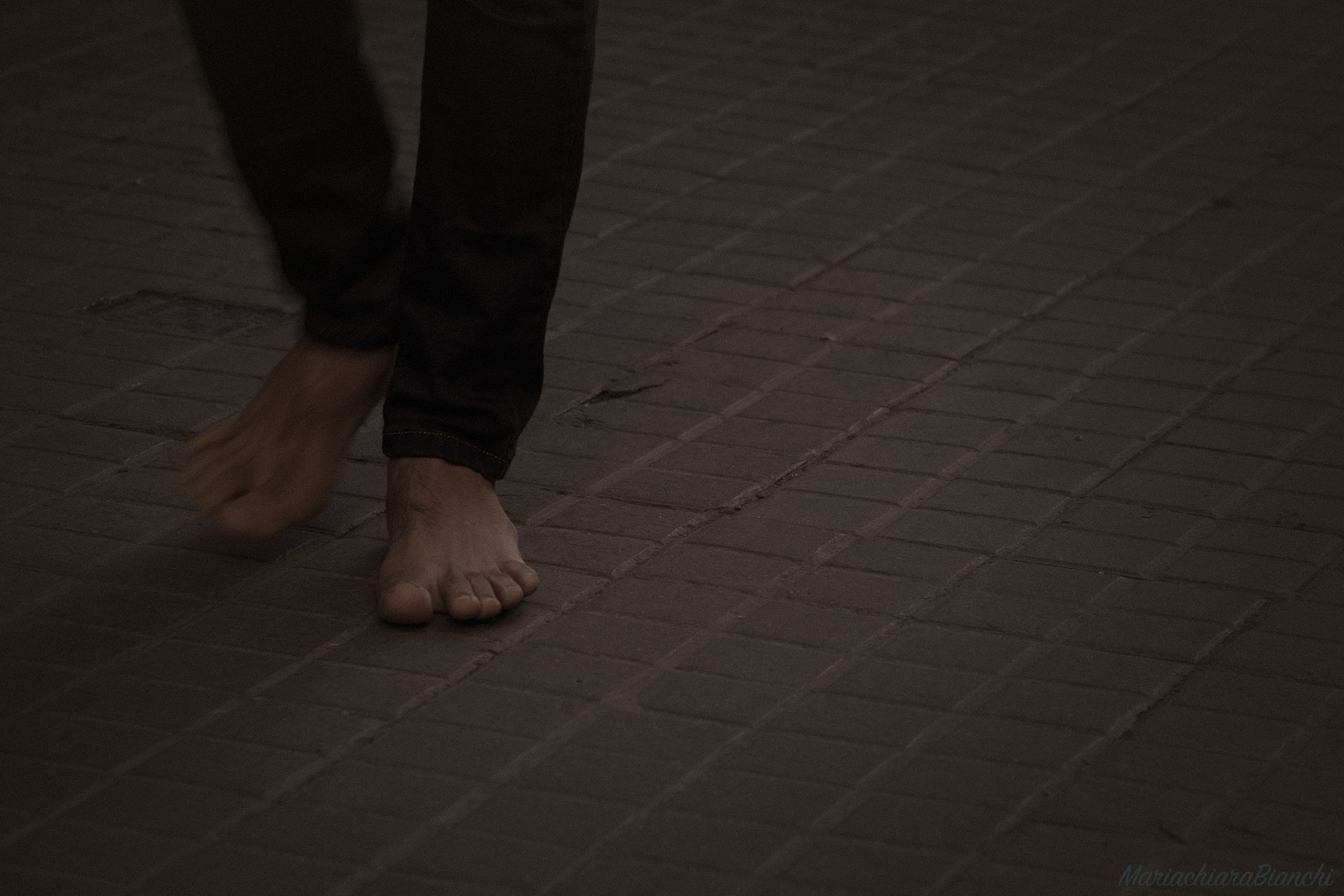 Fujifilm XF 55-200mm F3.5-4.8 R LM OIS sample photo