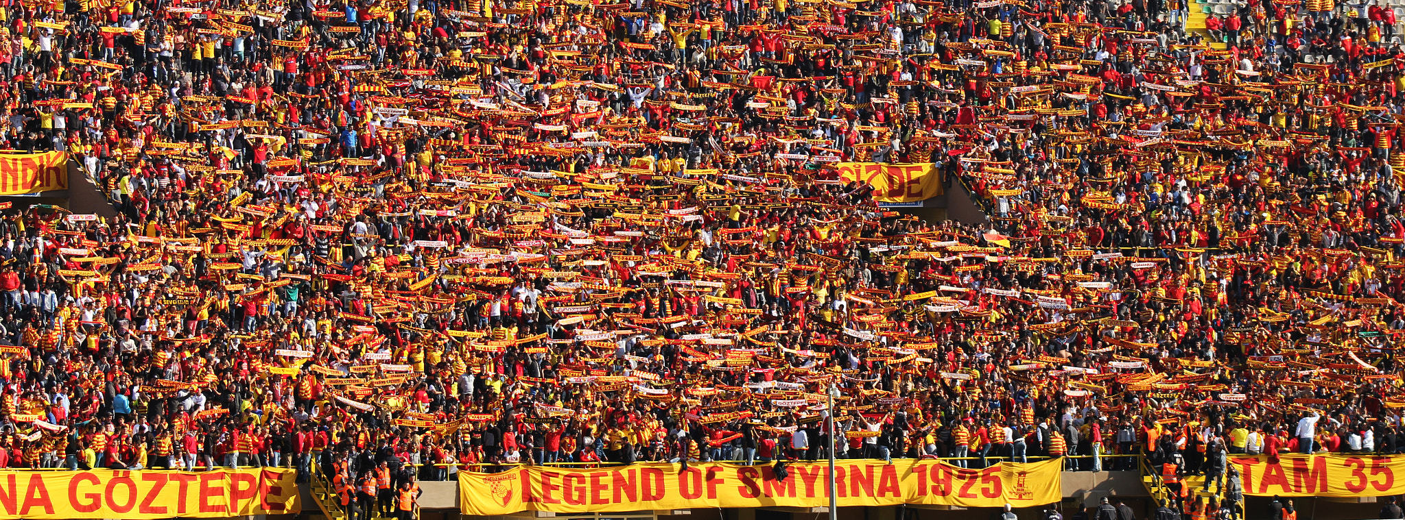 Canon EOS 60D + EF75-300mm f/4-5.6 sample photo. Fans of goztepe photography