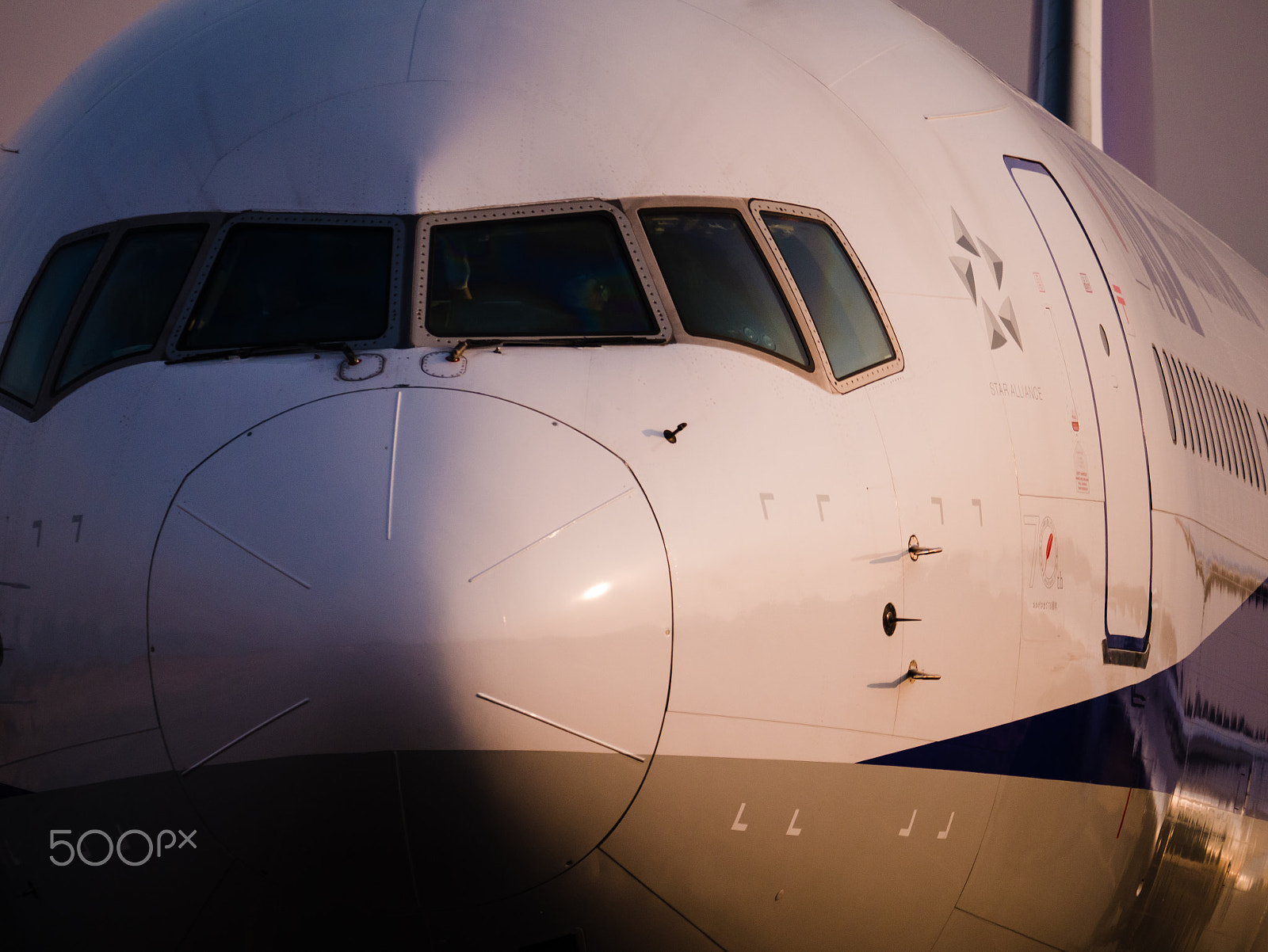 LEICA DG 100-400/F4.0-6.3 sample photo. Airplane face photography