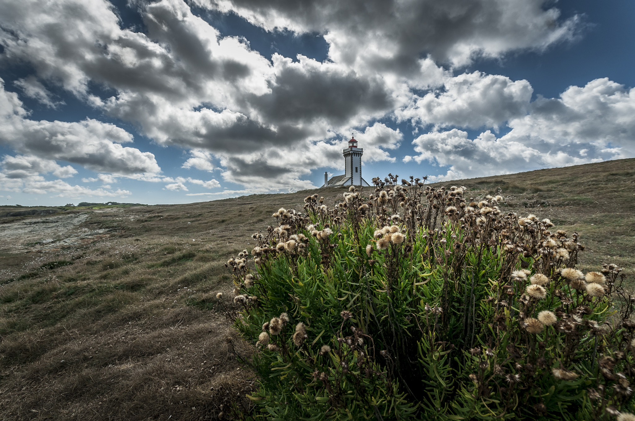 Samyang 14mm F2.8 ED AS IF UMC sample photo. Les poulains photography