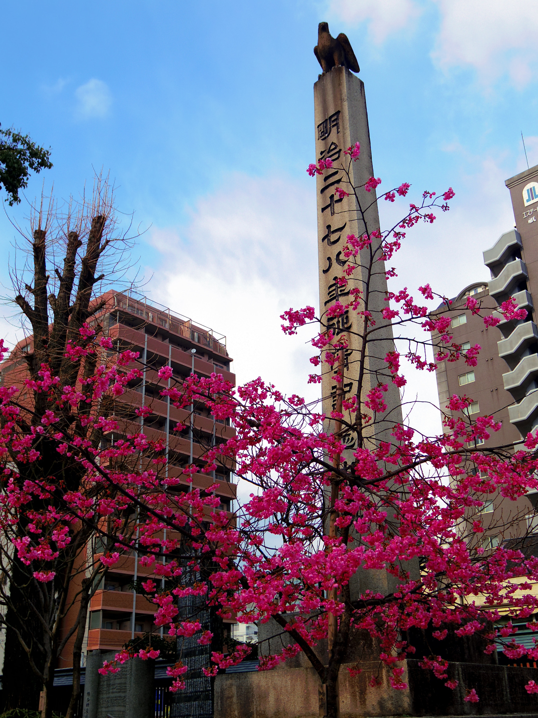 Pentax Q7 sample photo. Sakura photography