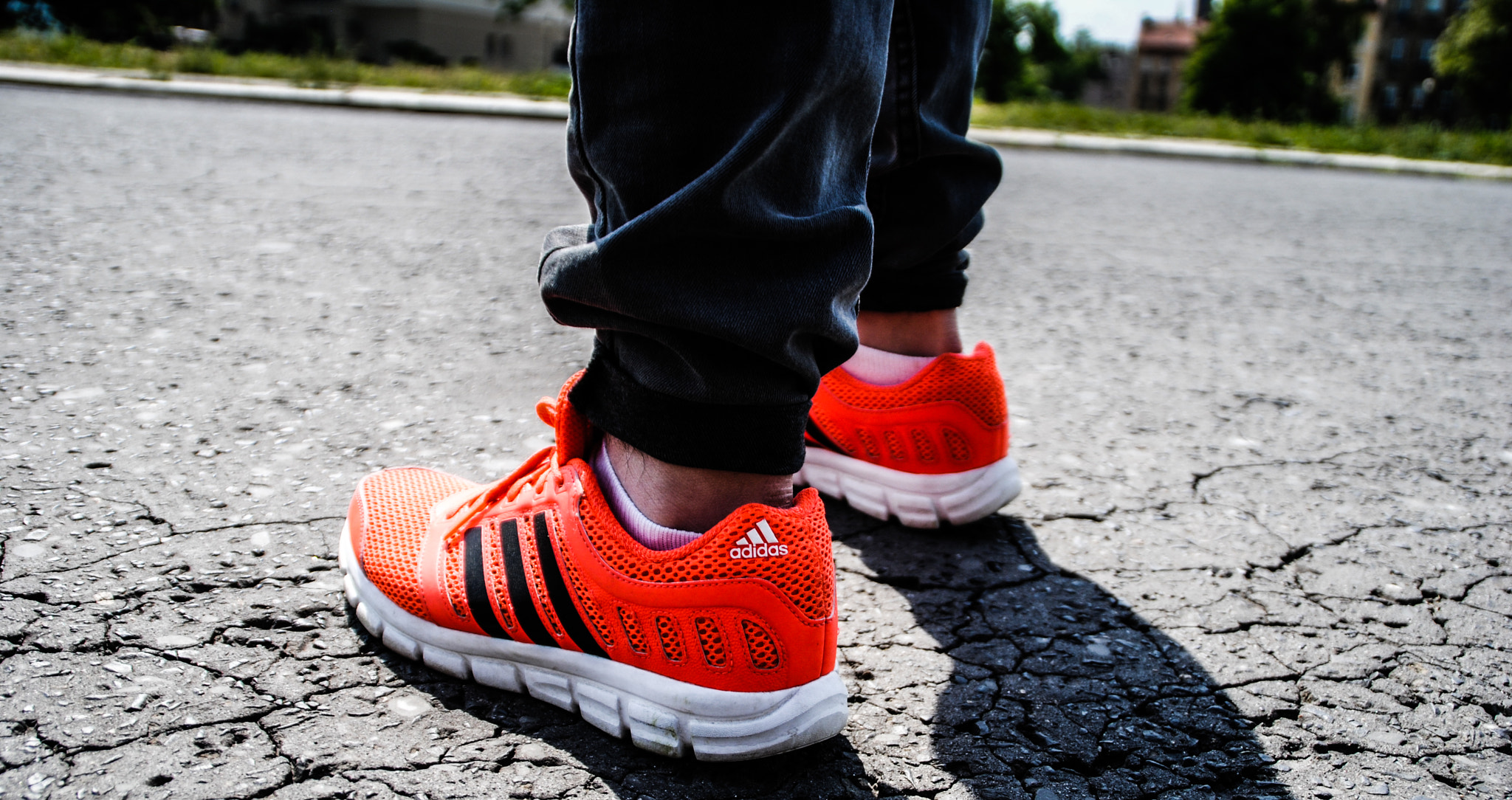 Nikon D3000 sample photo. Adidadi photography