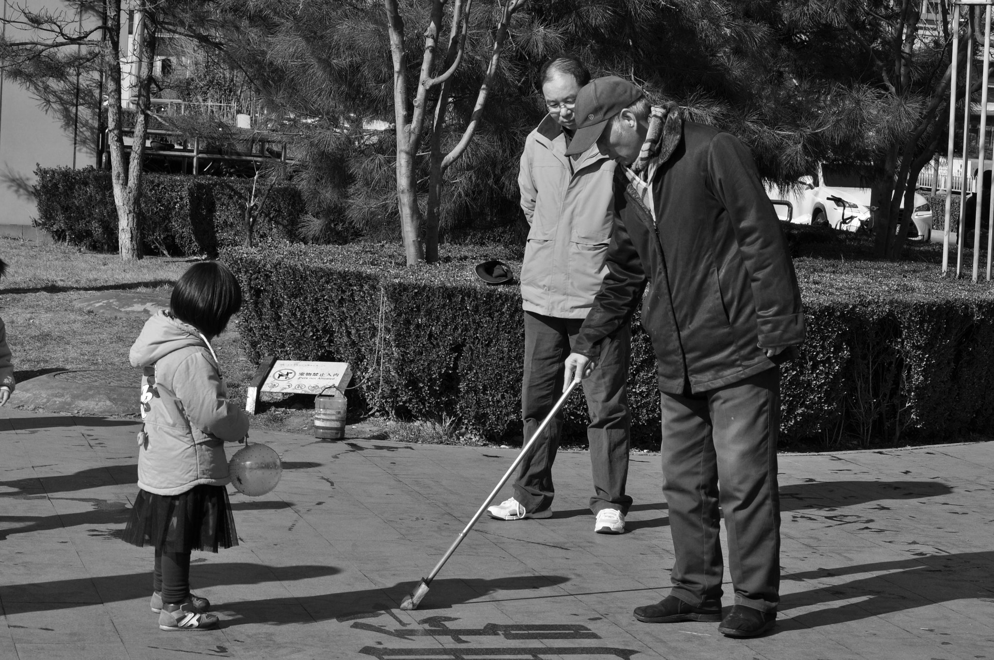 Nikon D5000 sample photo. Dsc_0268-2.jpg photography