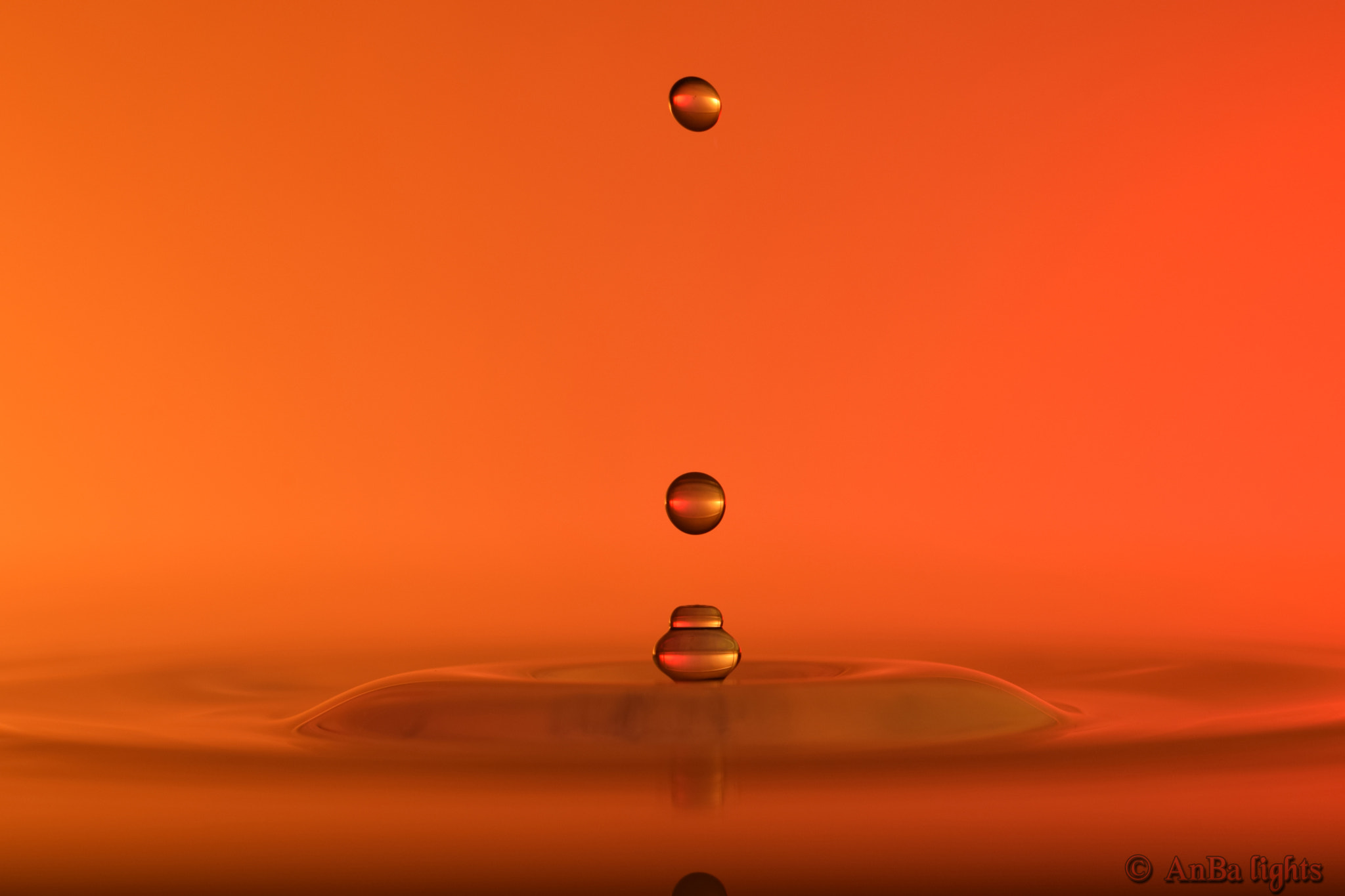 Nikon D5300 sample photo. Orange drops photography