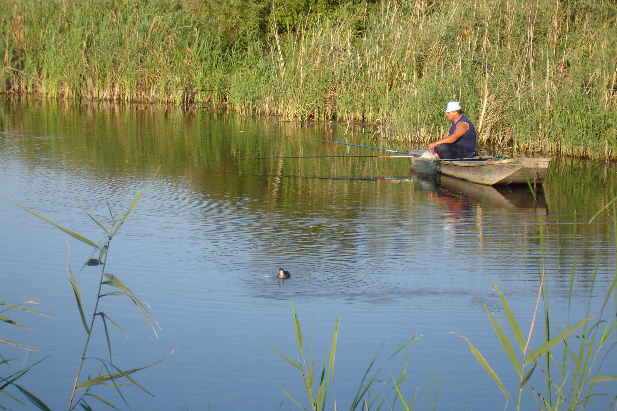 Sony DSC-W17 sample photo. Fishing photography