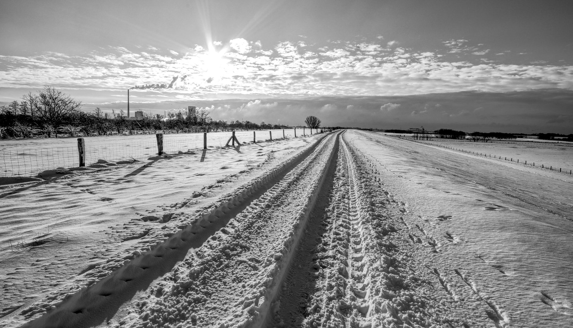Sigma AF 10-20mm F4-5.6 EX DC sample photo. Rheinwiese ii photography
