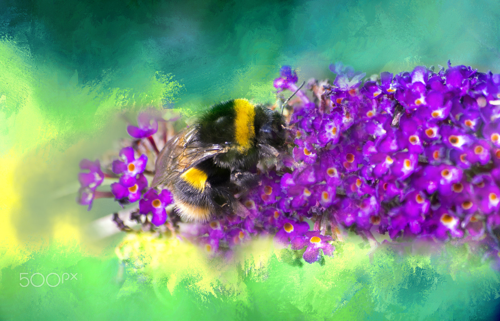 Pentax K-5 sample photo. Bee photography