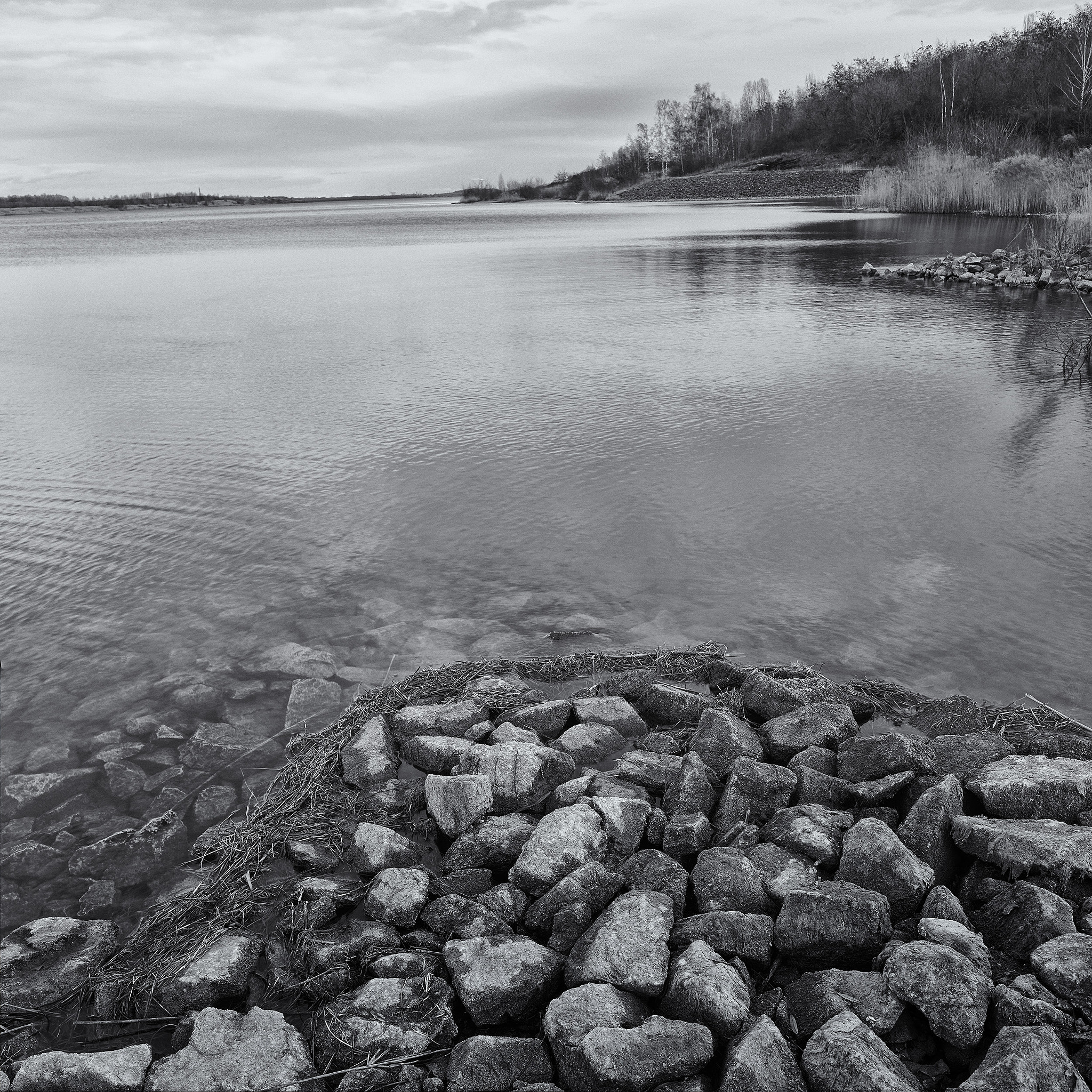 35mm F1.4 G SSM sample photo. Lake photography