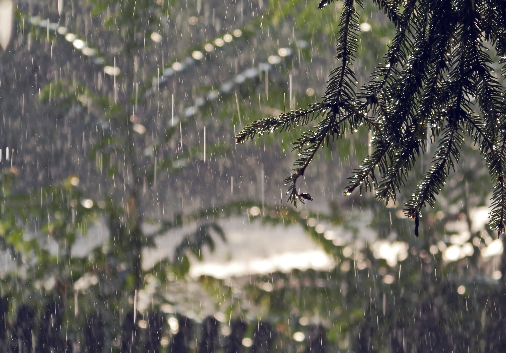 Olympus SP-620UZ sample photo. Summer rain in the countryside photography