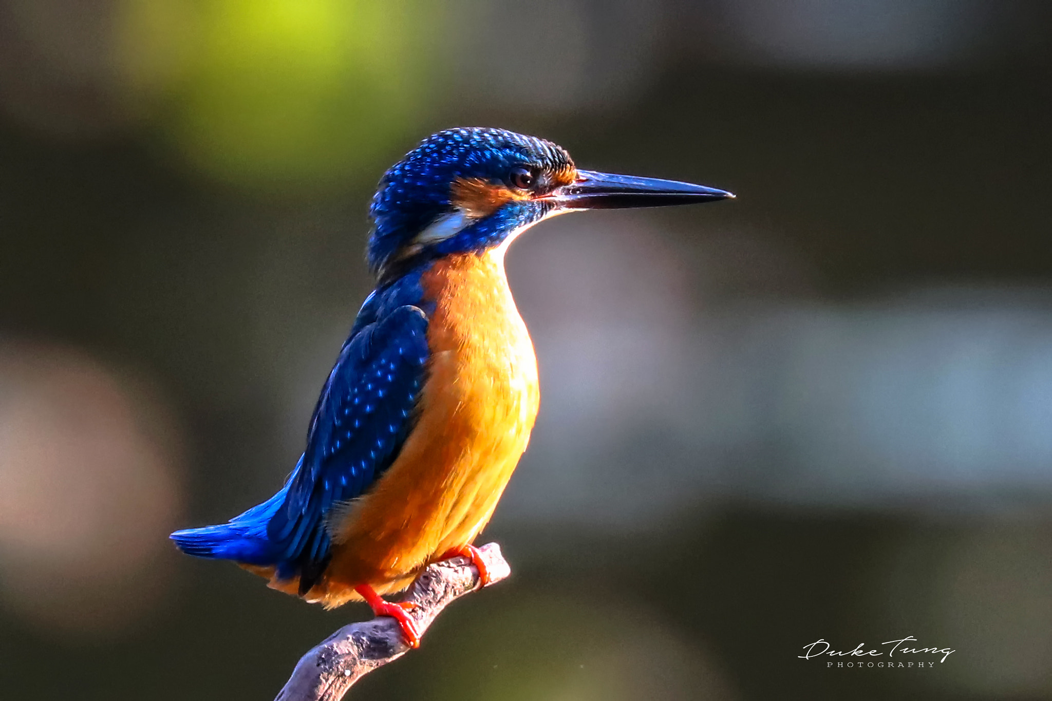 Canon EOS 5DS R sample photo. 0078 photography