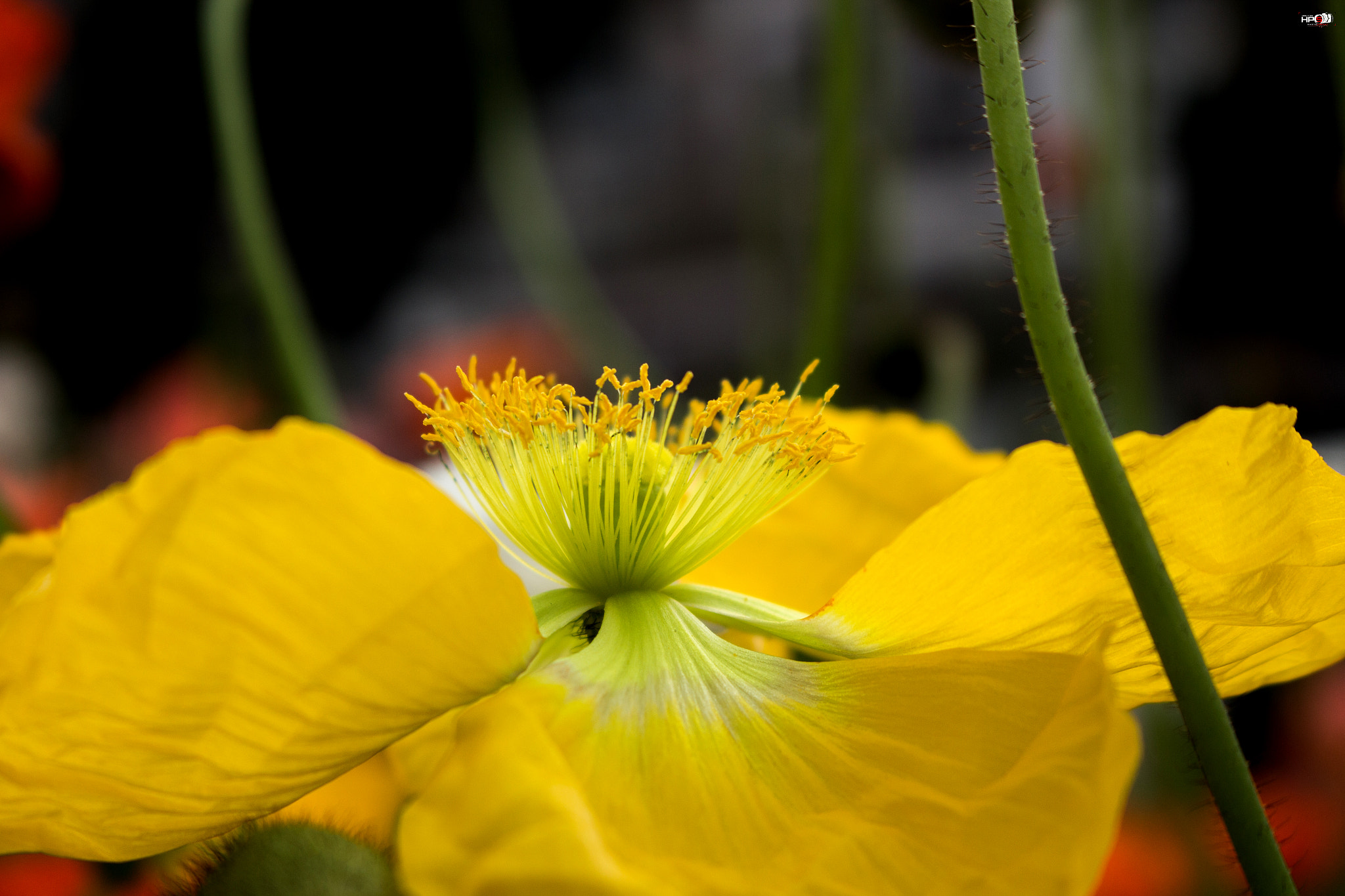 Canon EOS 650D (EOS Rebel T4i / EOS Kiss X6i) sample photo. “take a deep look” photography