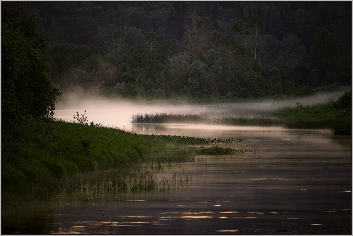 Canon EF 100-400mm F4.5-5.6L IS USM sample photo. *** photography