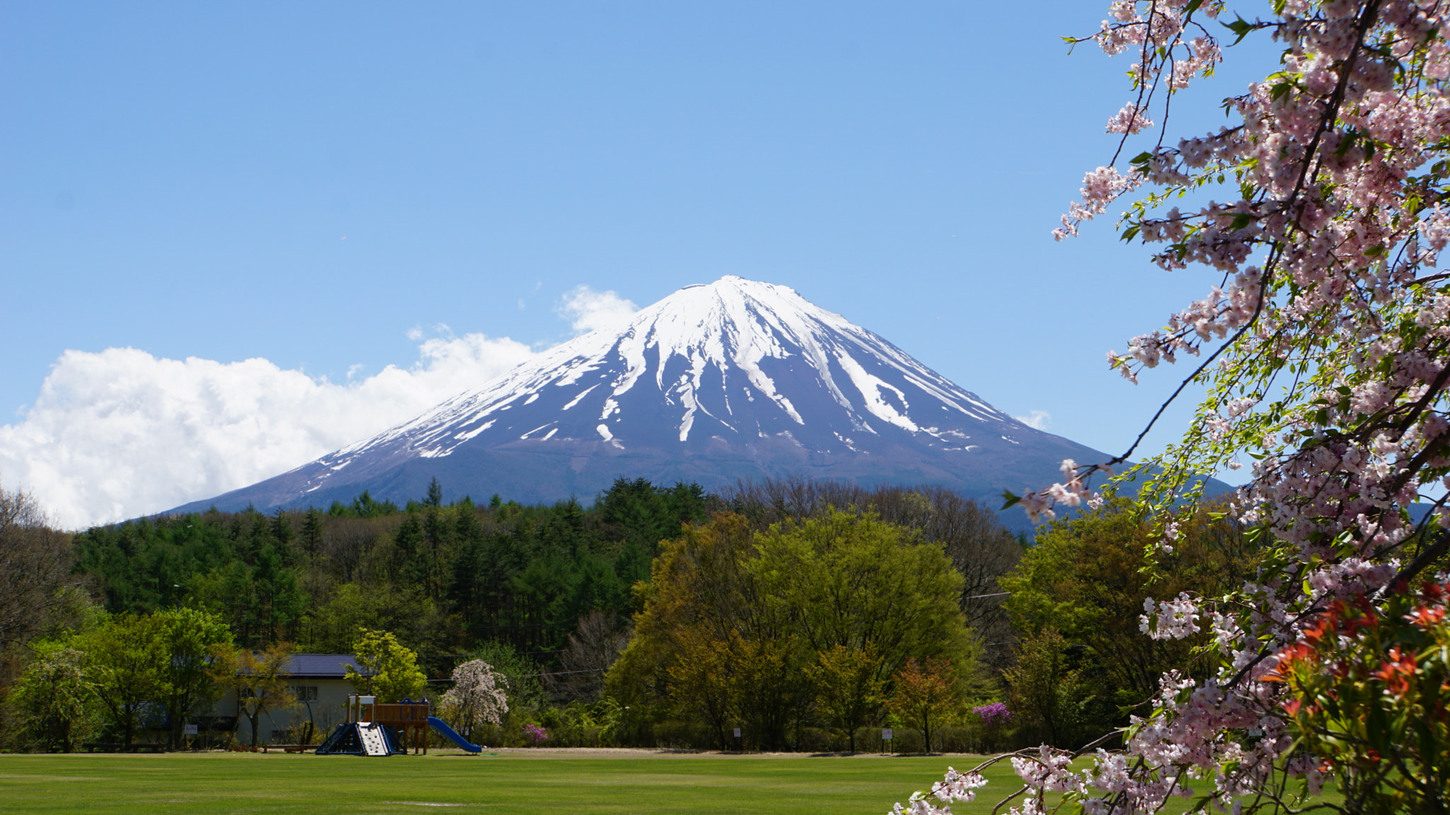 Sony E 18-55mm F3.5-5.6 OSS sample photo. Mt fuji ikiiki park photography