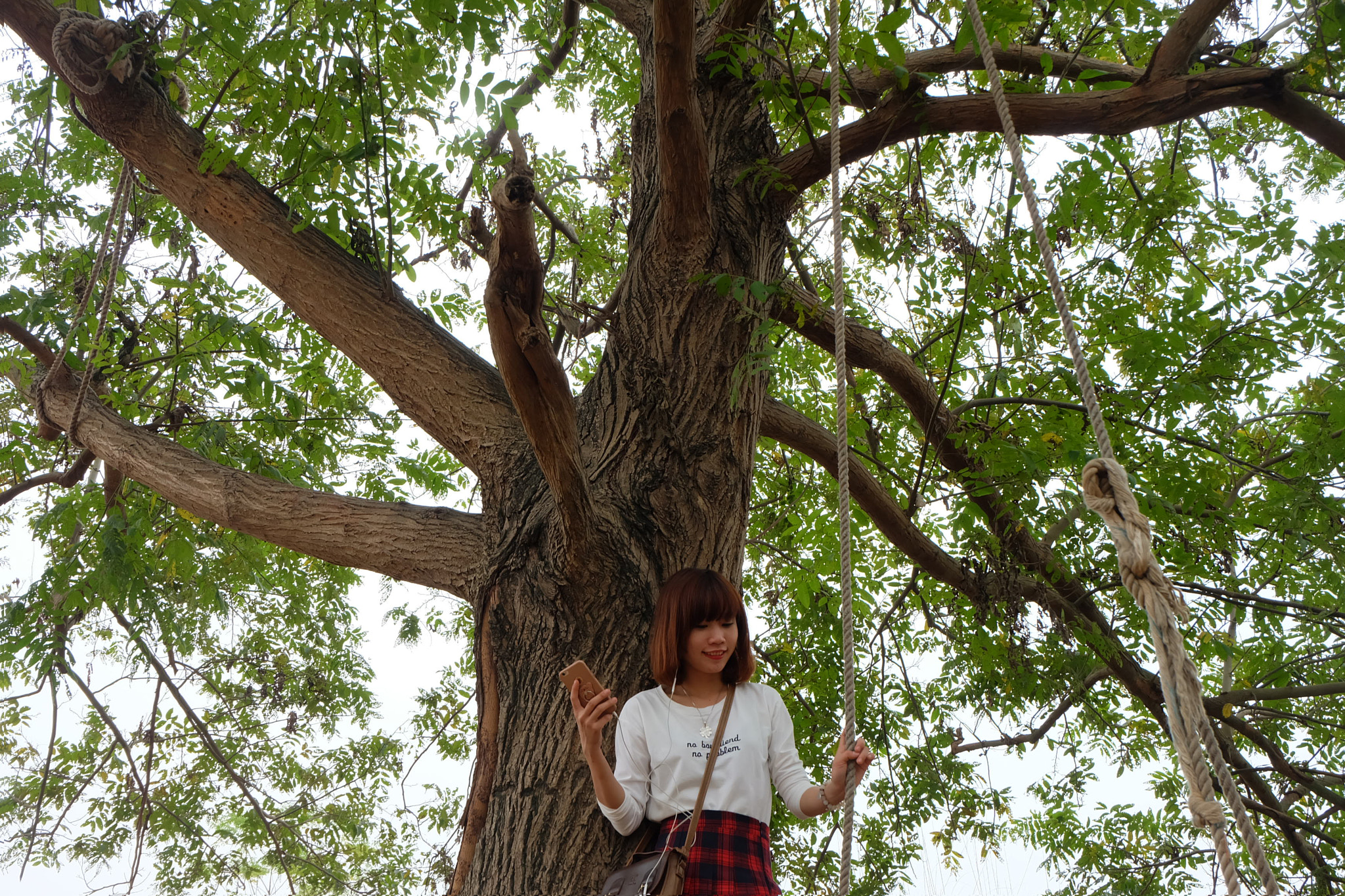 Fujifilm XC 16-50mm F3.5-5.6 OIS sample photo. Dscf photography