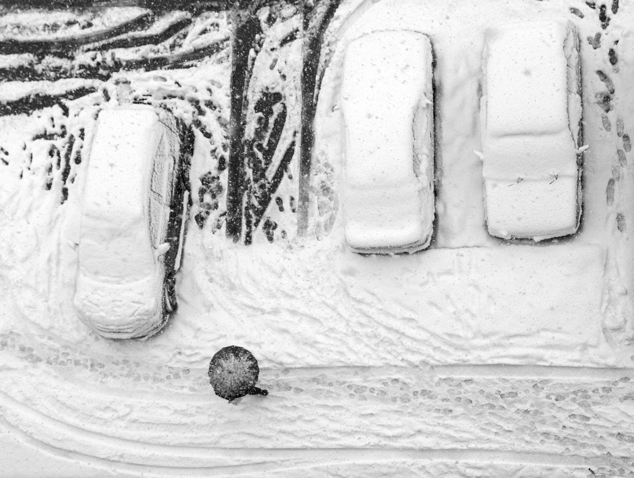 Canon EOS 60D sample photo. Winter photography