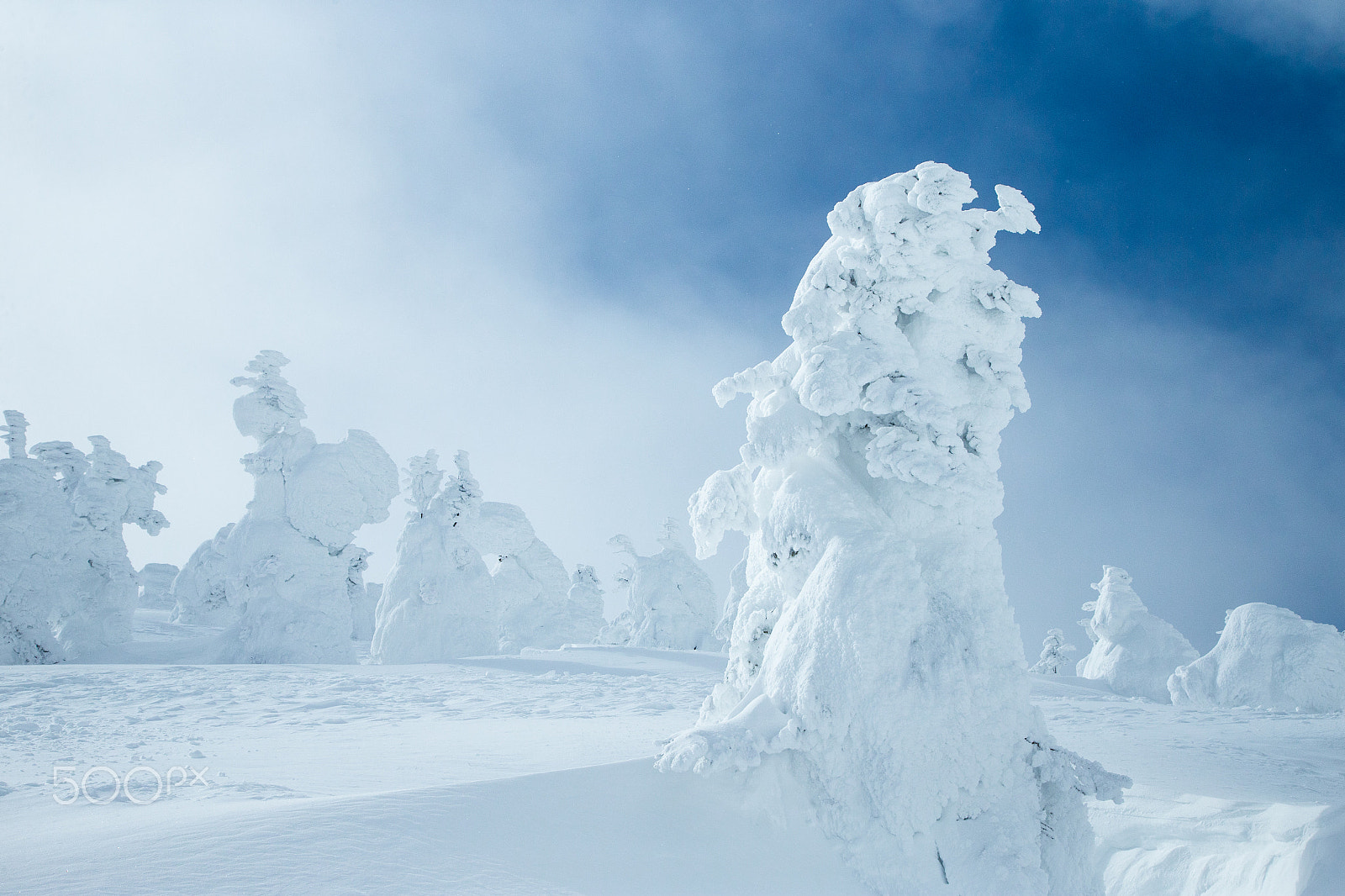 Canon EOS-1D X sample photo. Snow monster photography